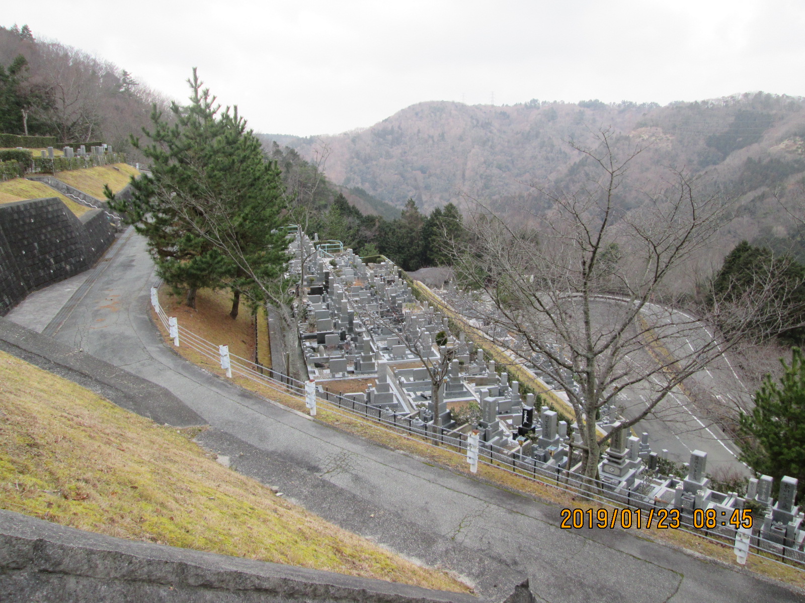 階段墓所：6区枝道～6区墓所風景