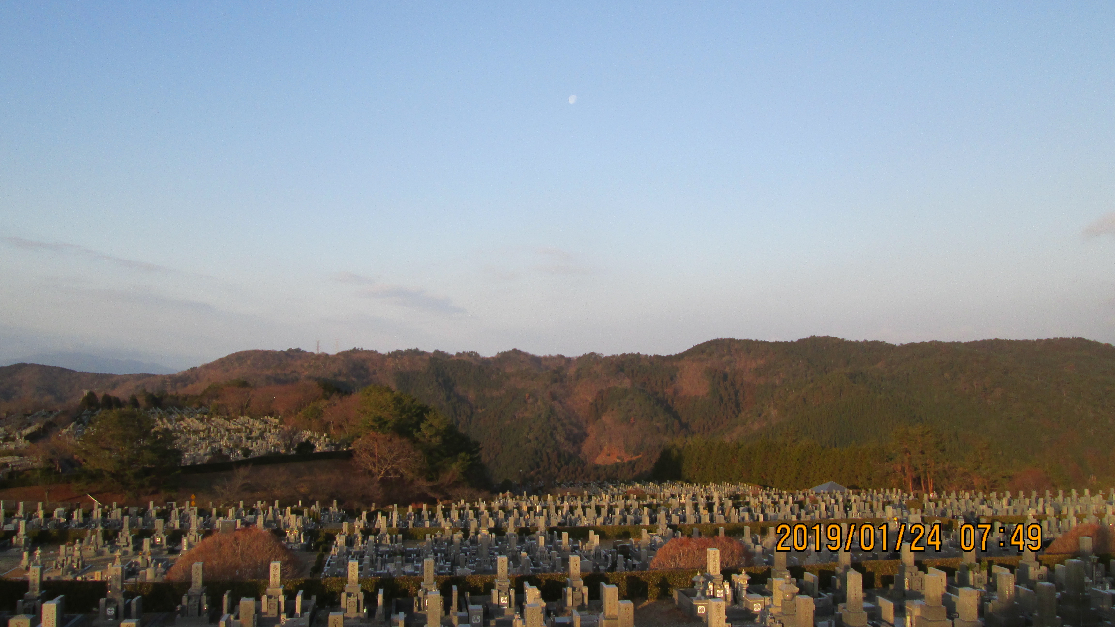 11区7番墓所から西向き風景③