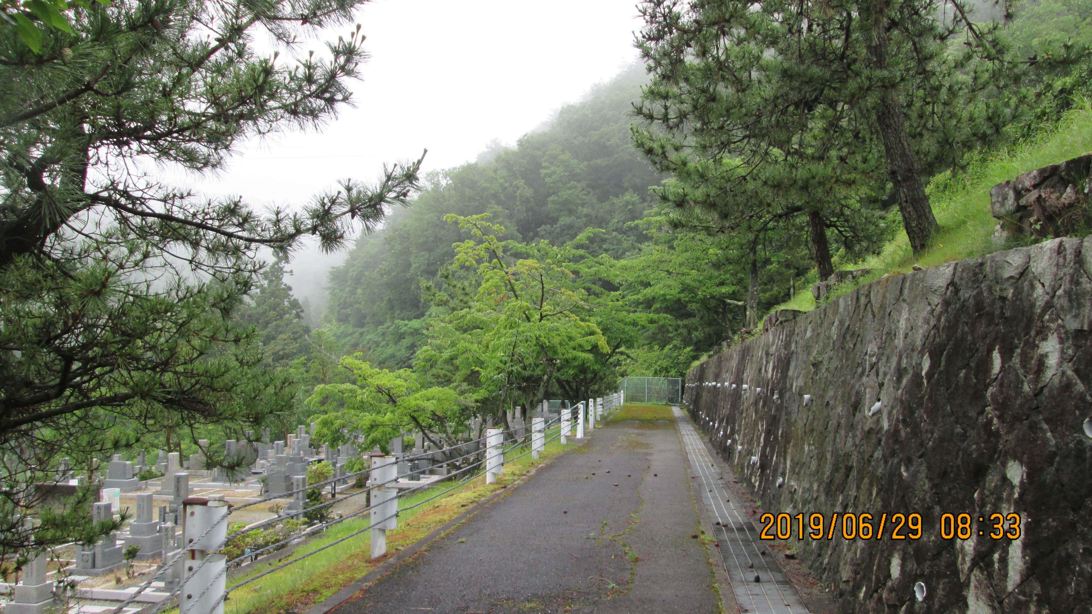 階段墓域・5番枝道風景～撮影