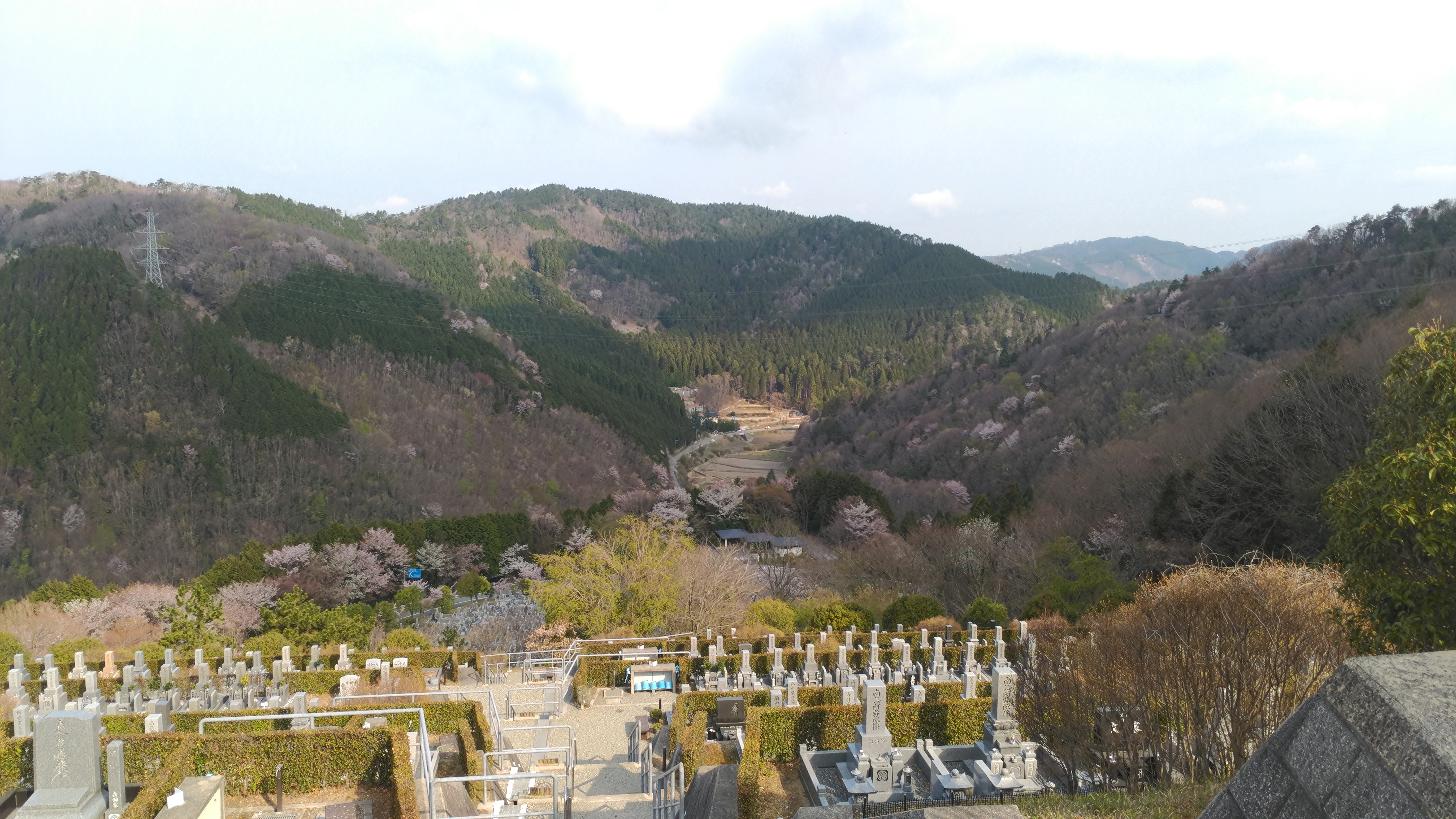 階段墓域・5区3/2番墓所～風景