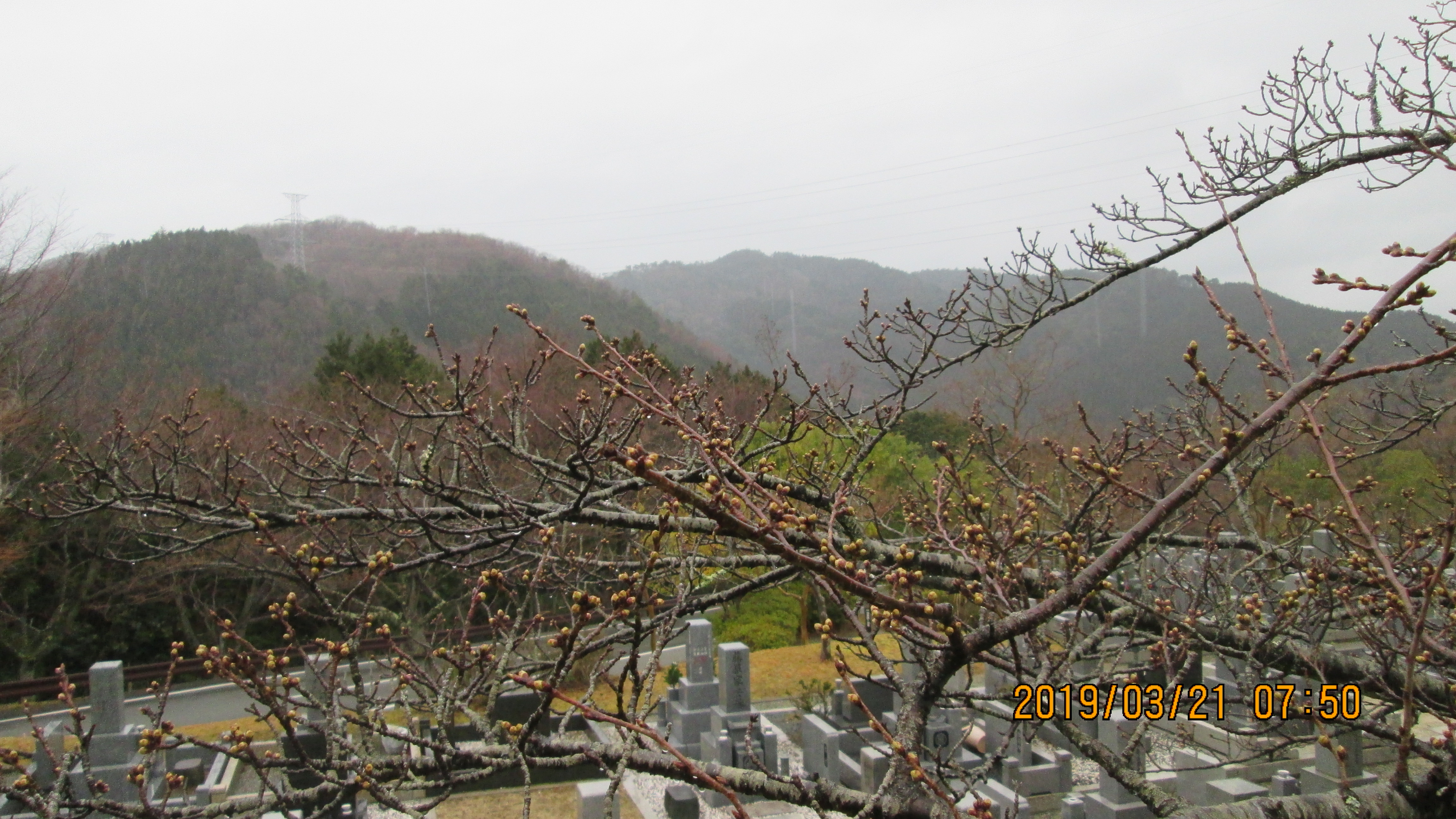 階段墓域・5区1/2番枝道の風景