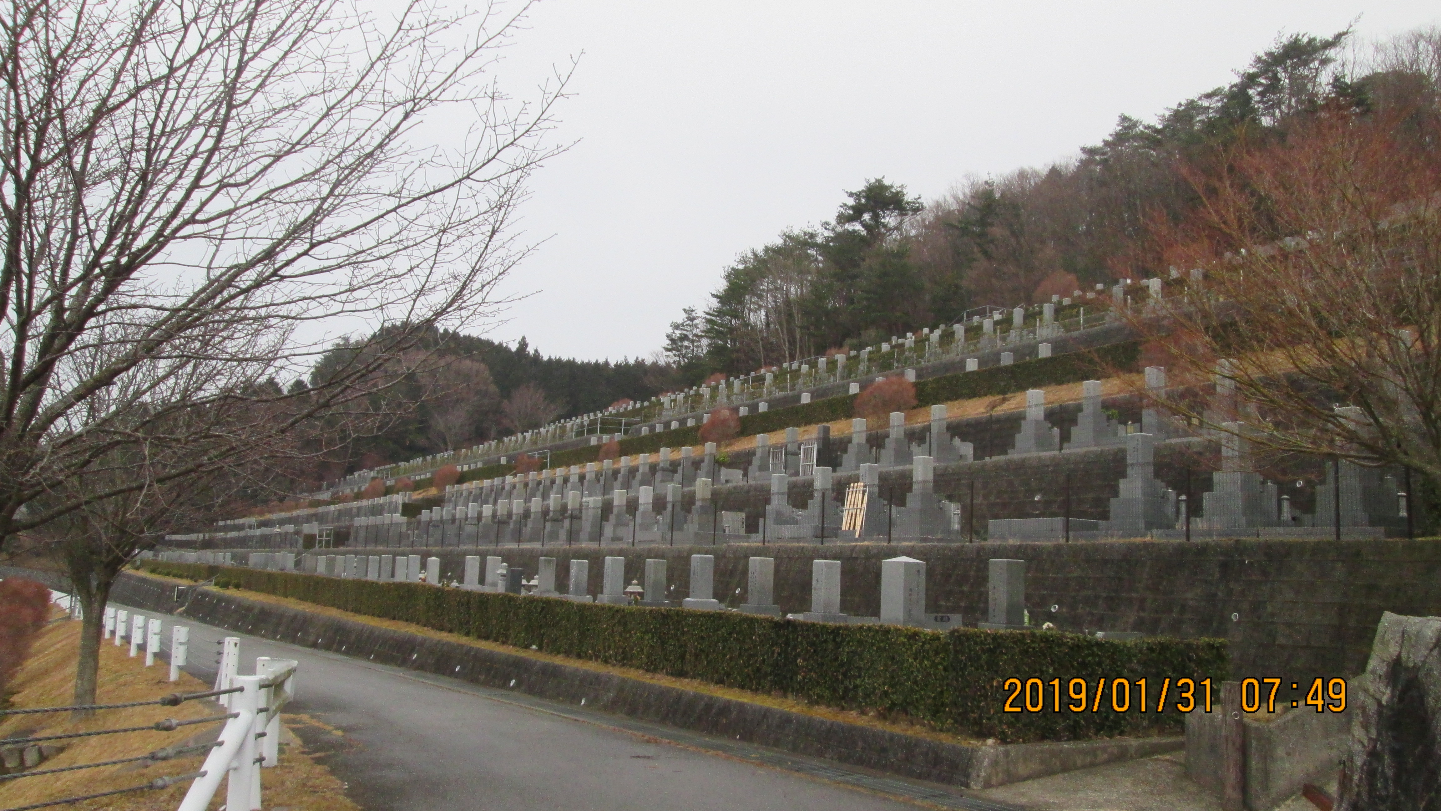 階段墓域：2番枝道（戻り）風景