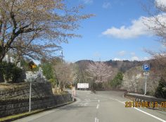  バス通り・6区墓所風景