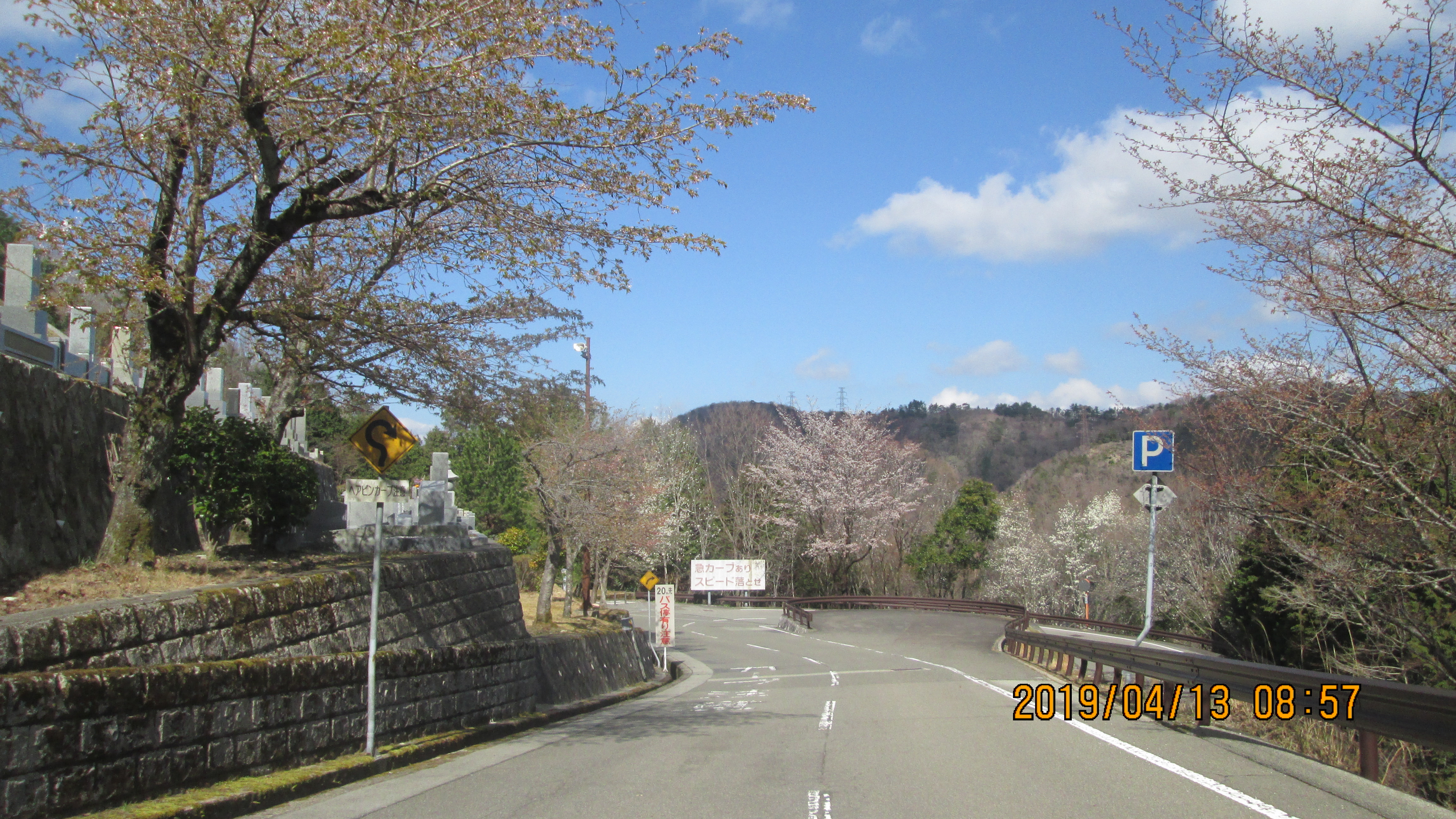  バス通り・6区墓所風景