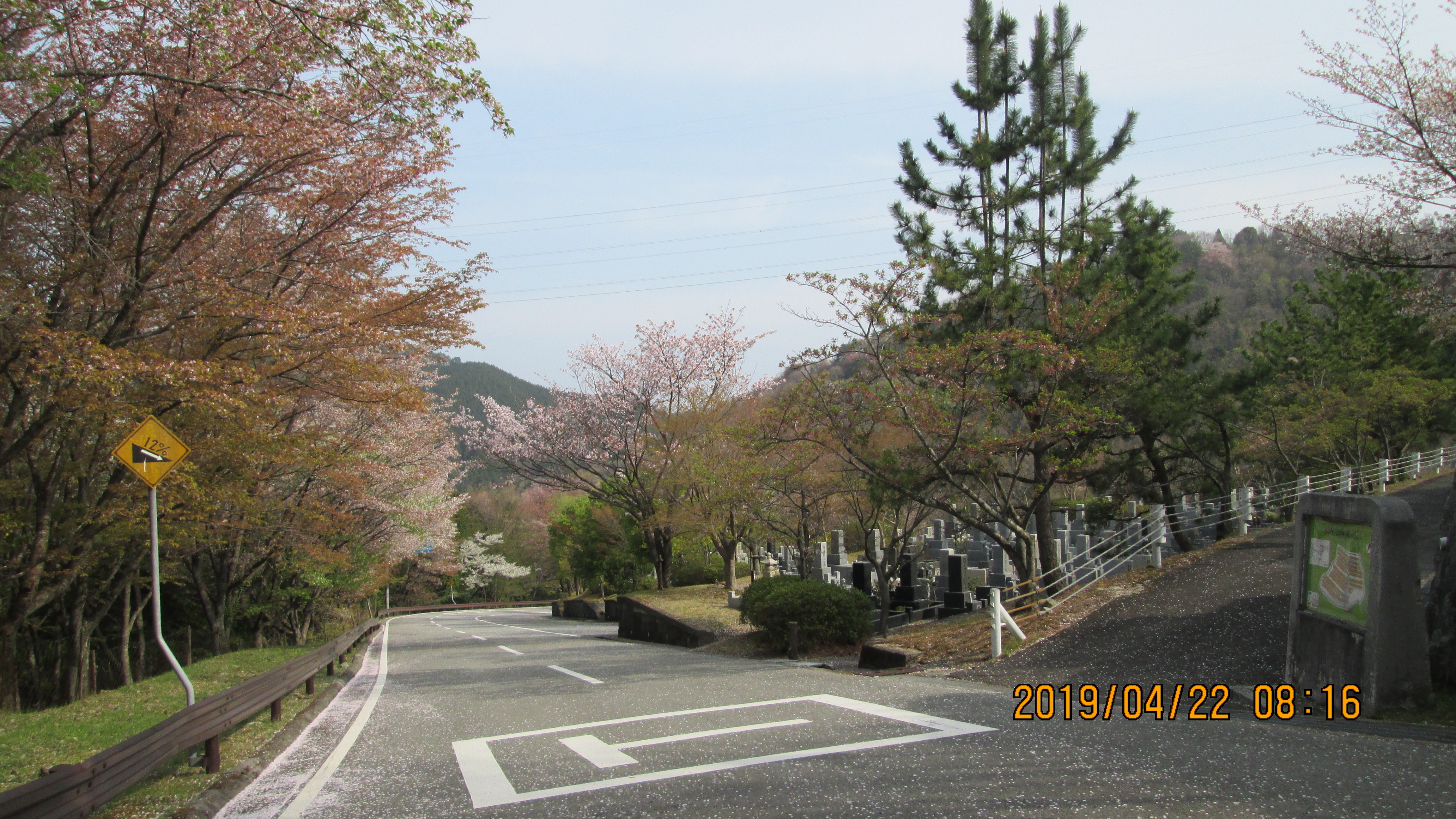 バス通り・5区1番墓所「桜」風景
