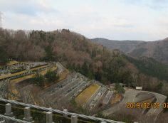 階段墓所・3番枝道風景