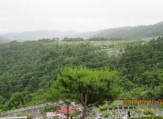 階段墓域・8区4番駐車場～撮影