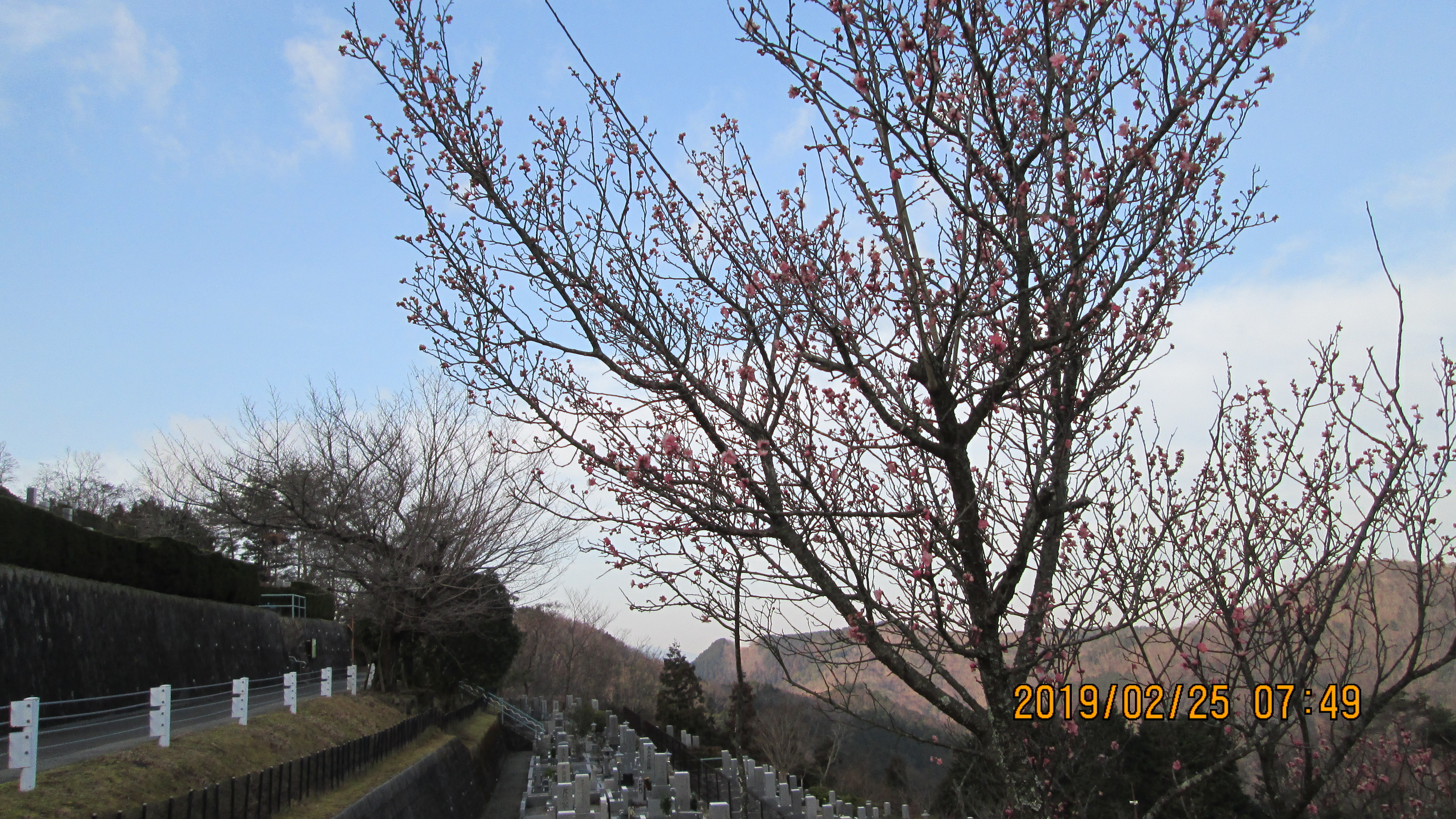 階段墓所・3番枝道からの風景