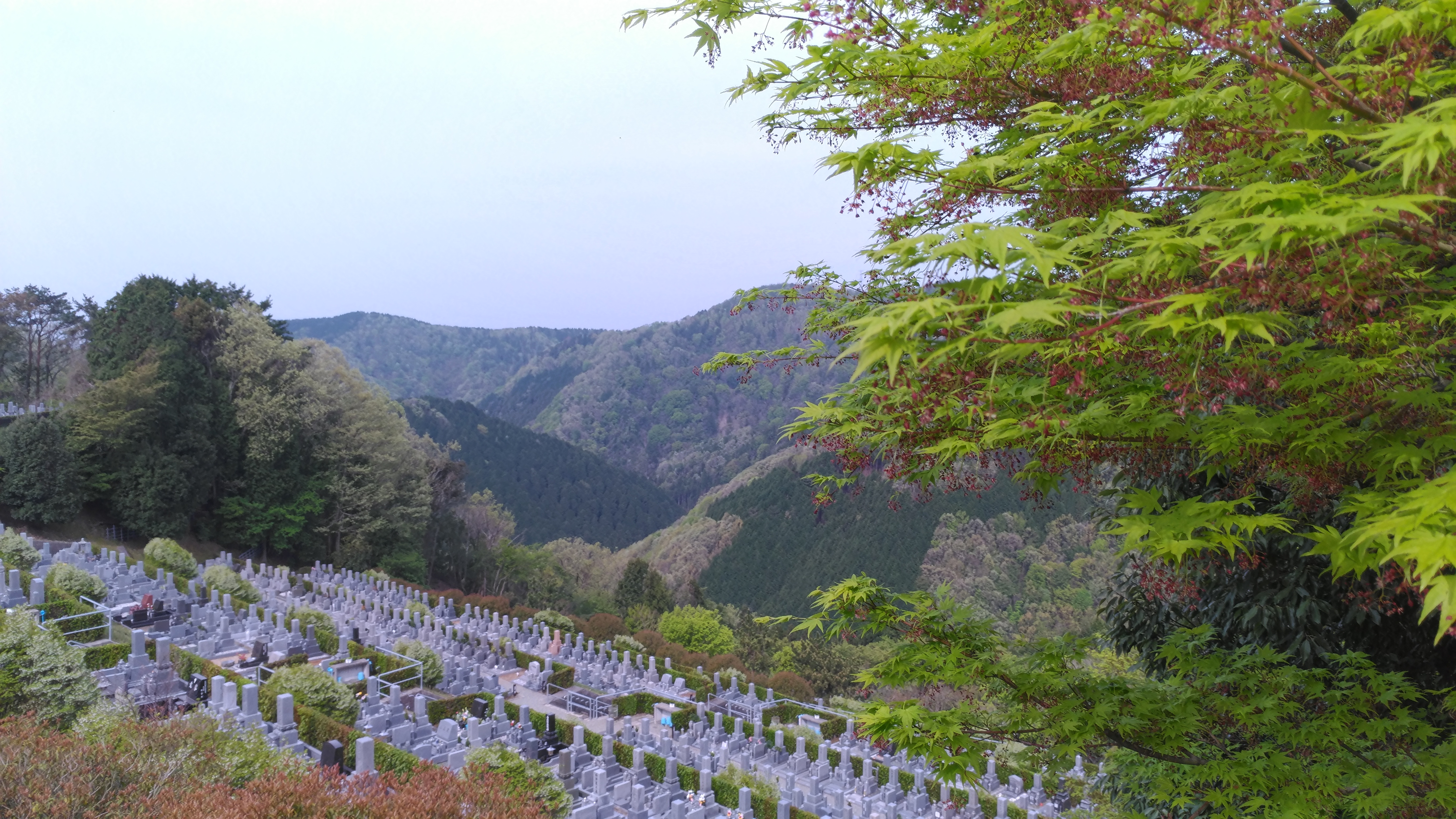 バス通り・7区バス停前から