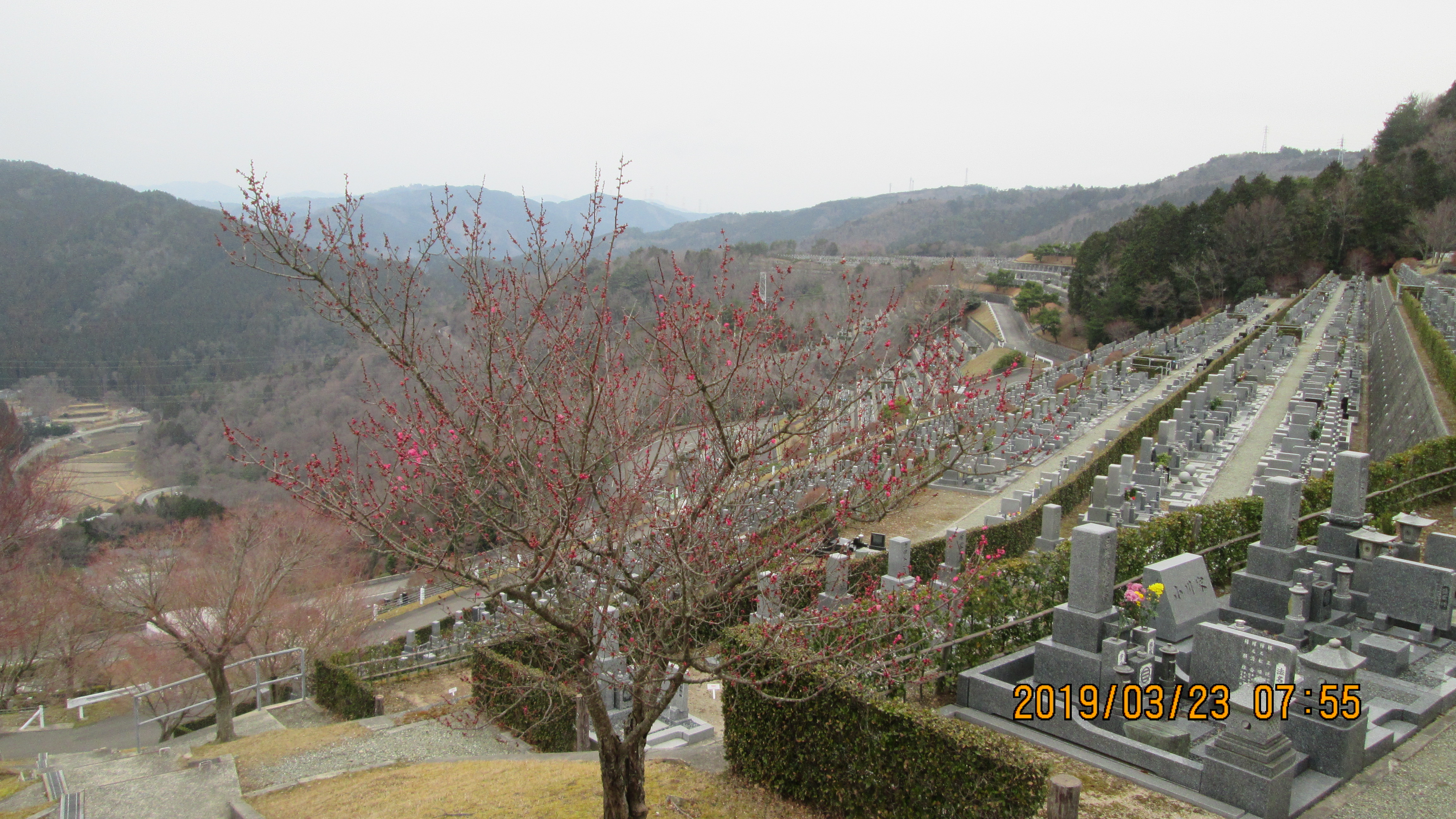 階段墓域・7区7番駐車場風景