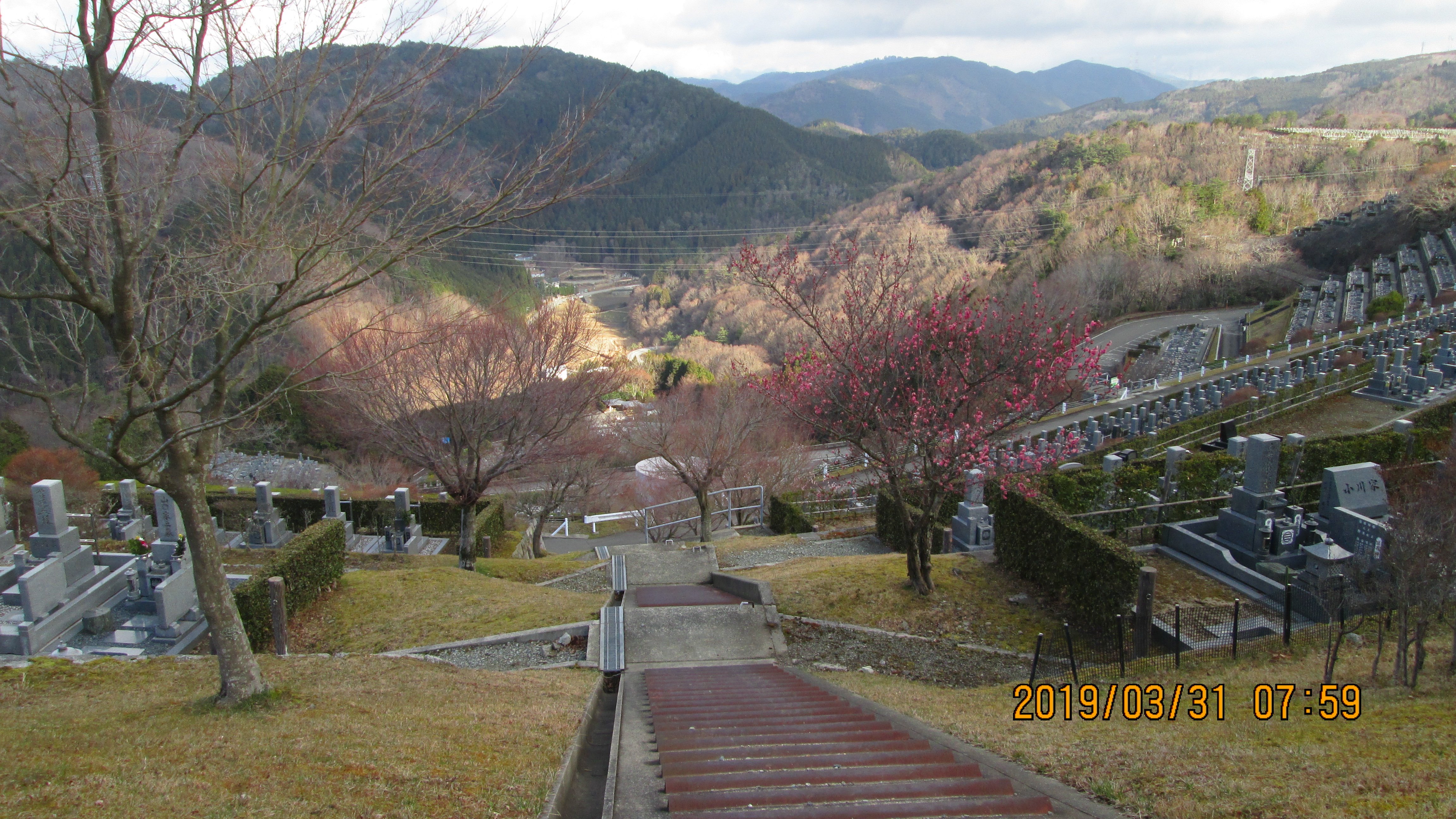 階段墓域・7区7番駐車場～風景