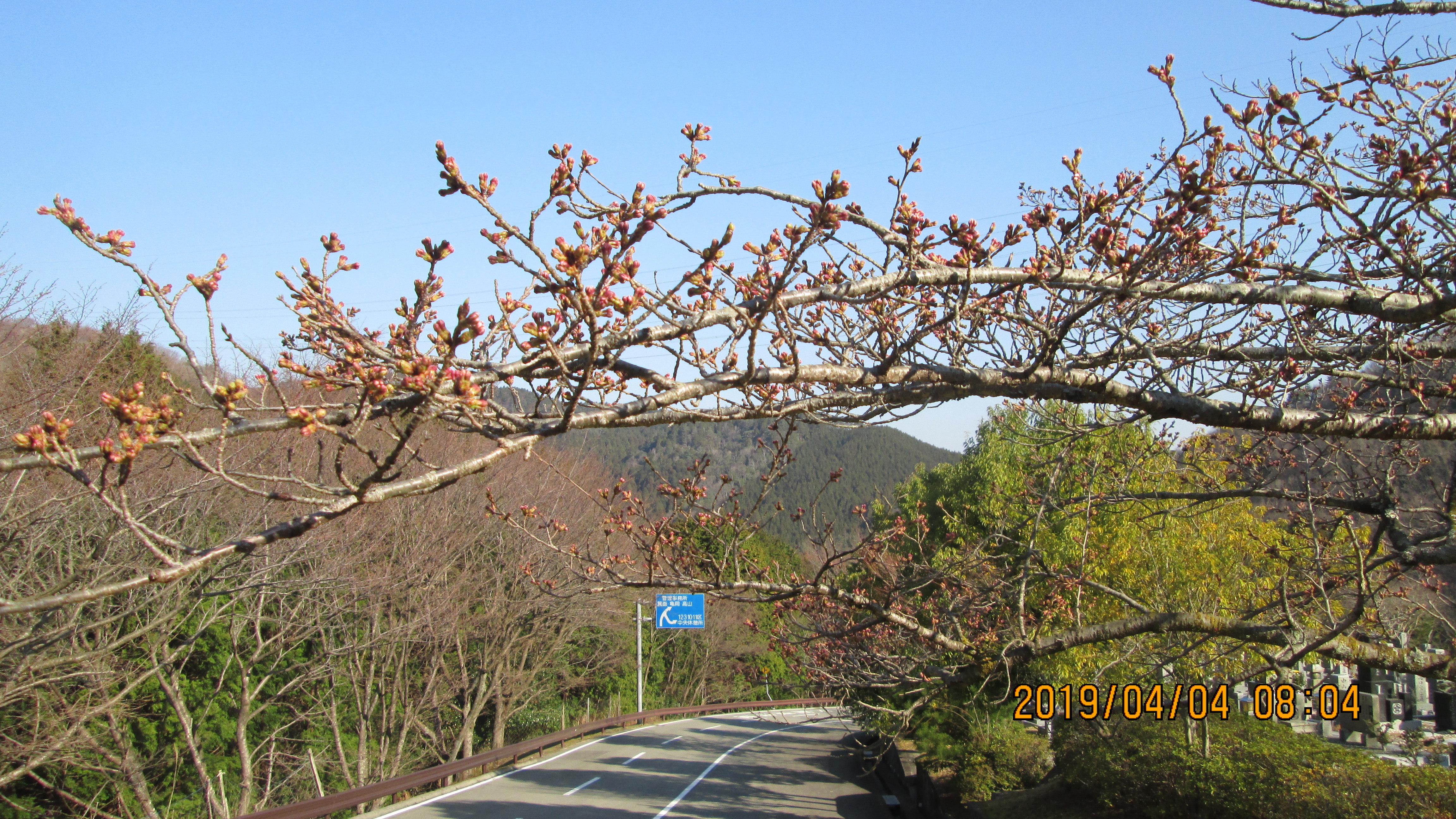  階段墓域・5区1番墓所「桜・蕾」