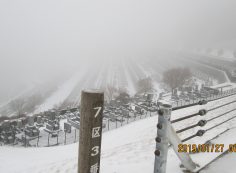 7区3番最上段駐車場からの風景