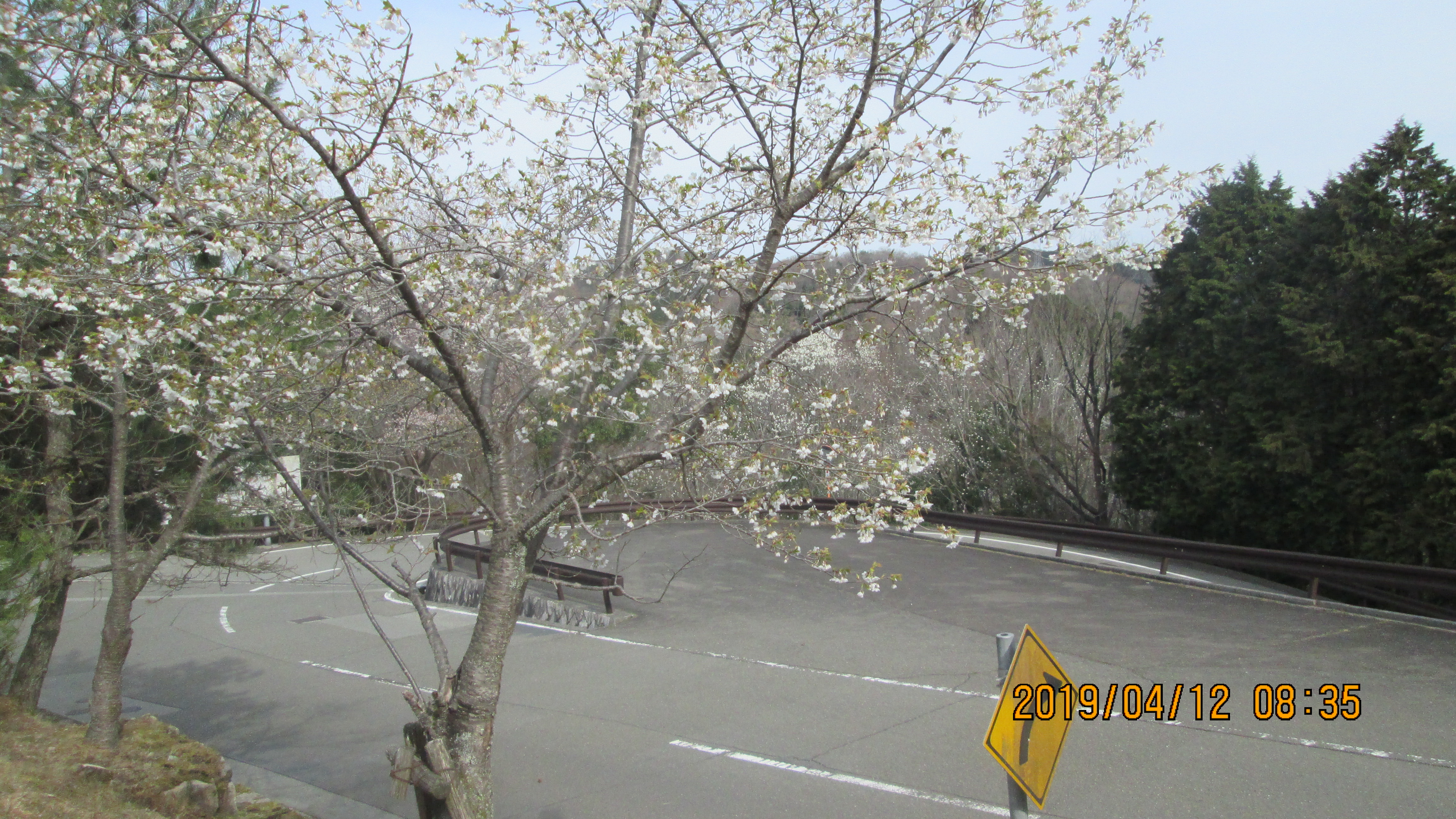 バス通り・6区バス停前～「桜」