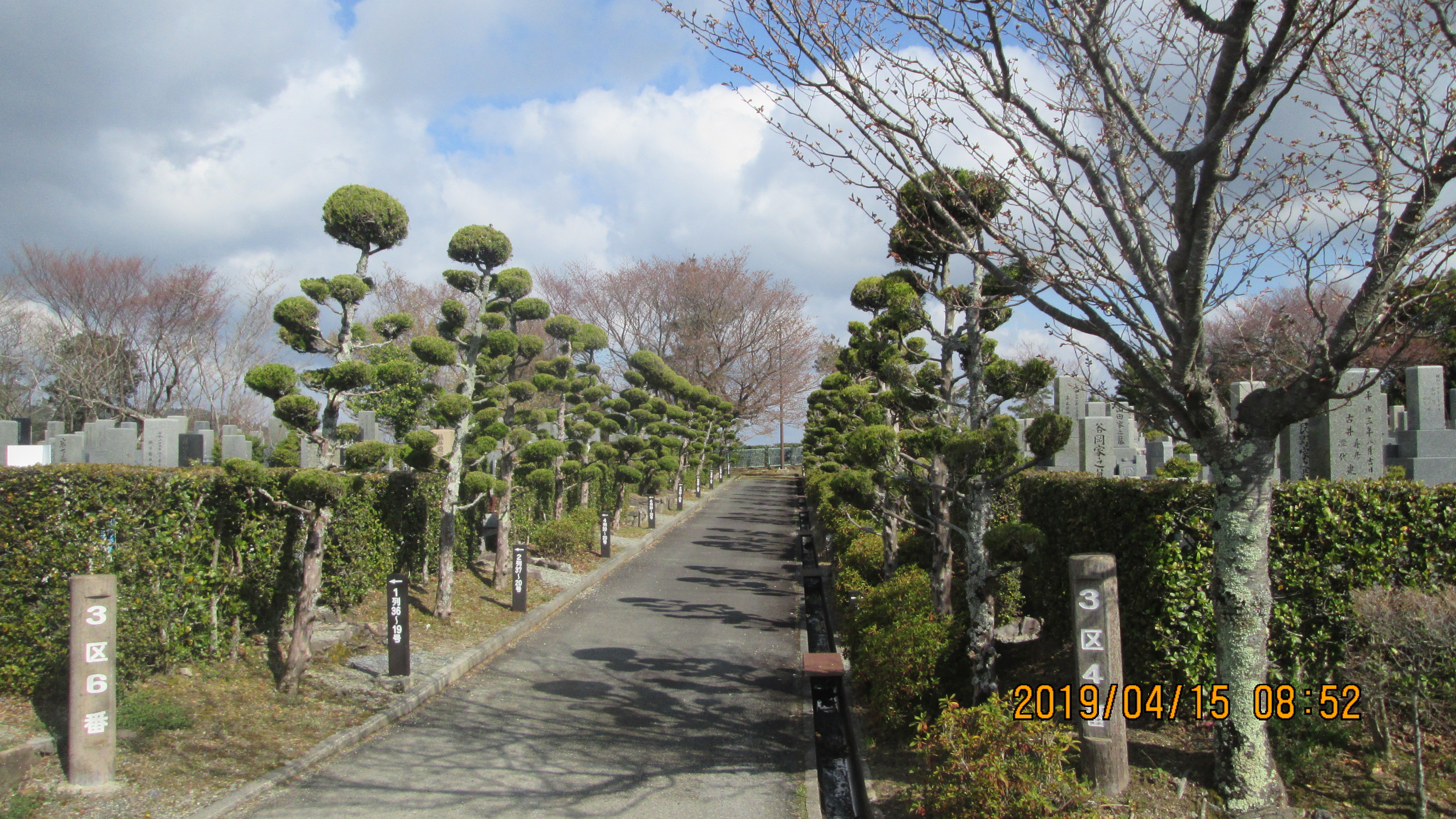 一般墓域・3区4/5番墓参道～風景