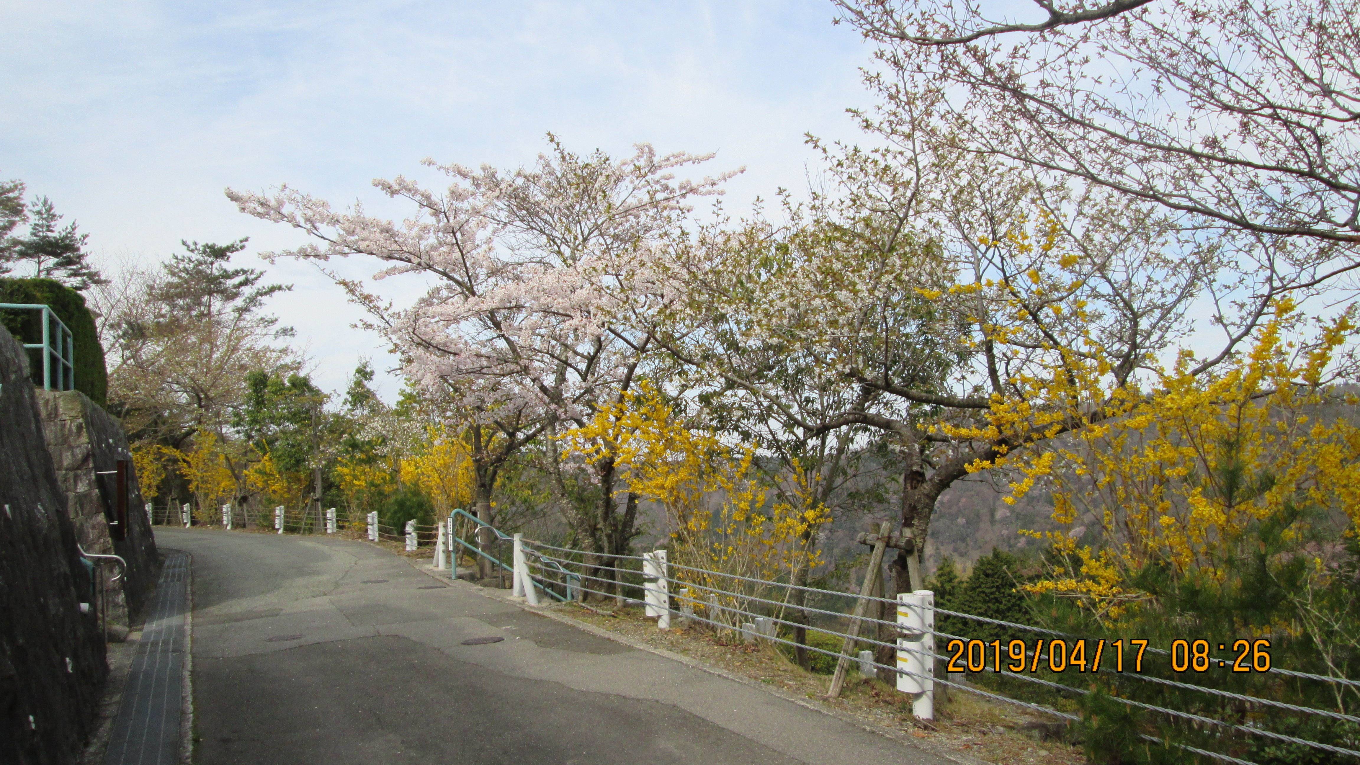 階段墓域・3番枝道風景