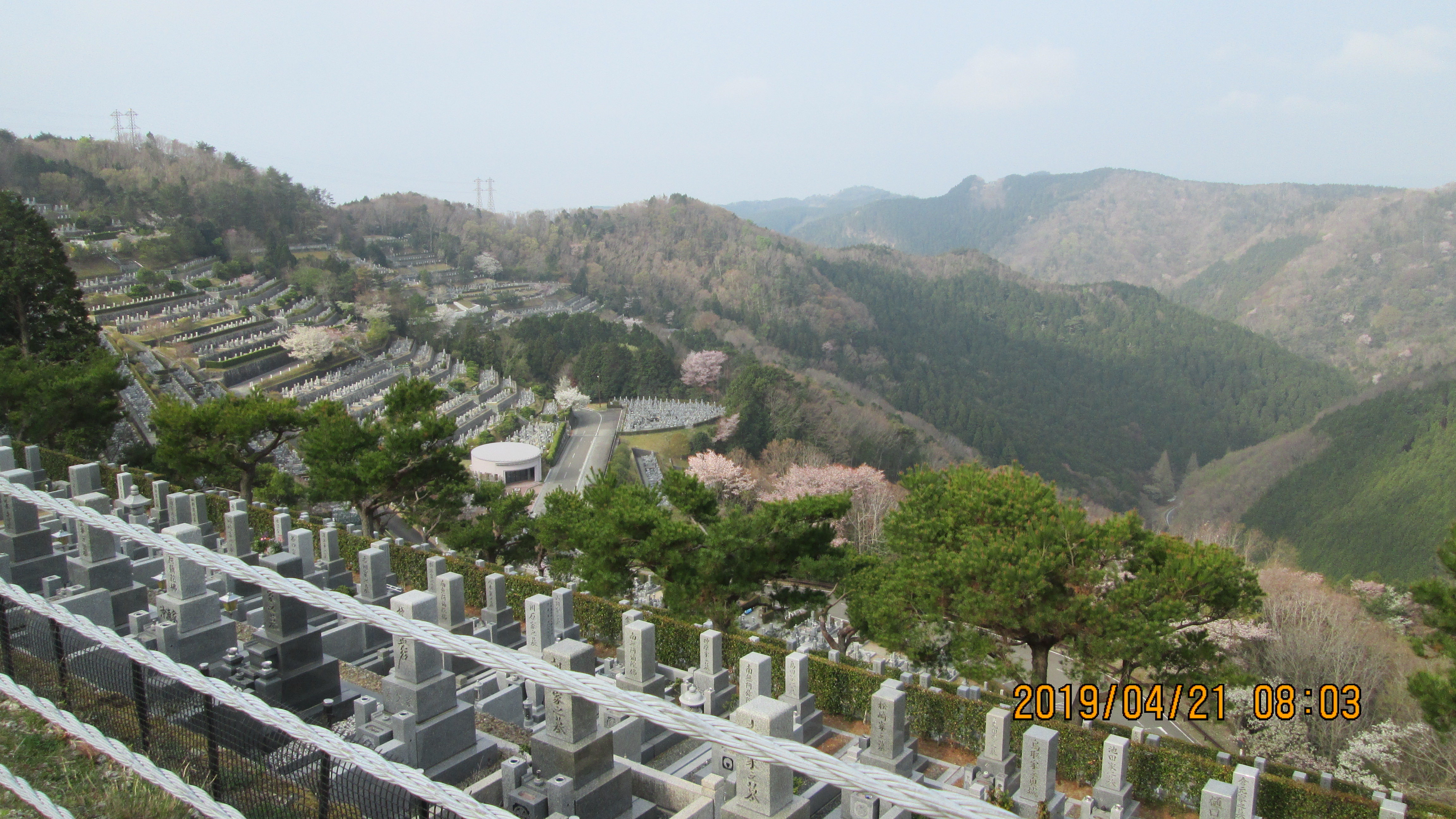 階段墓域・8区4/5番枝道風景