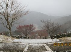 階段墓所：7区駐車場からの風景