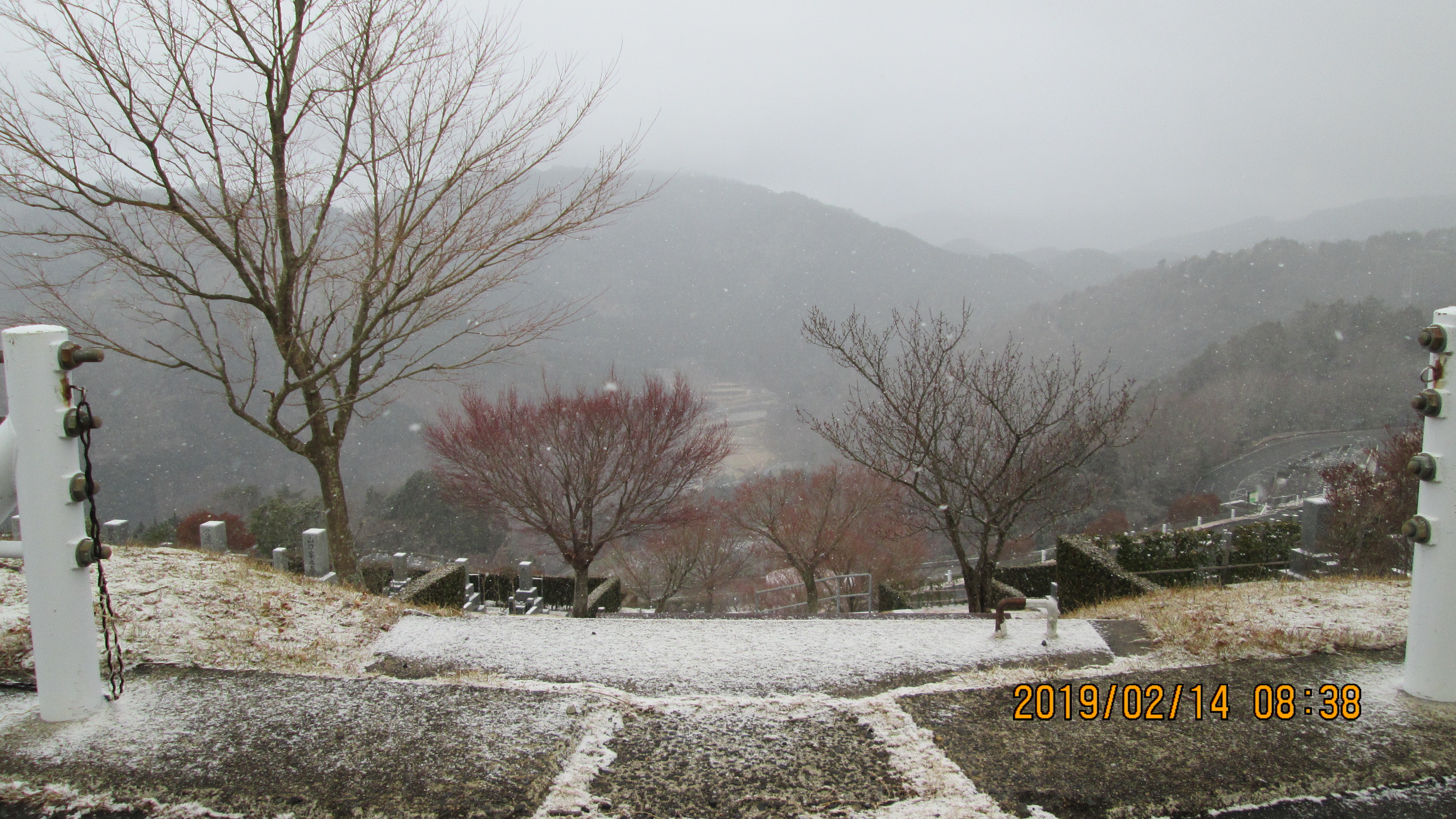 階段墓所：7区駐車場からの風景