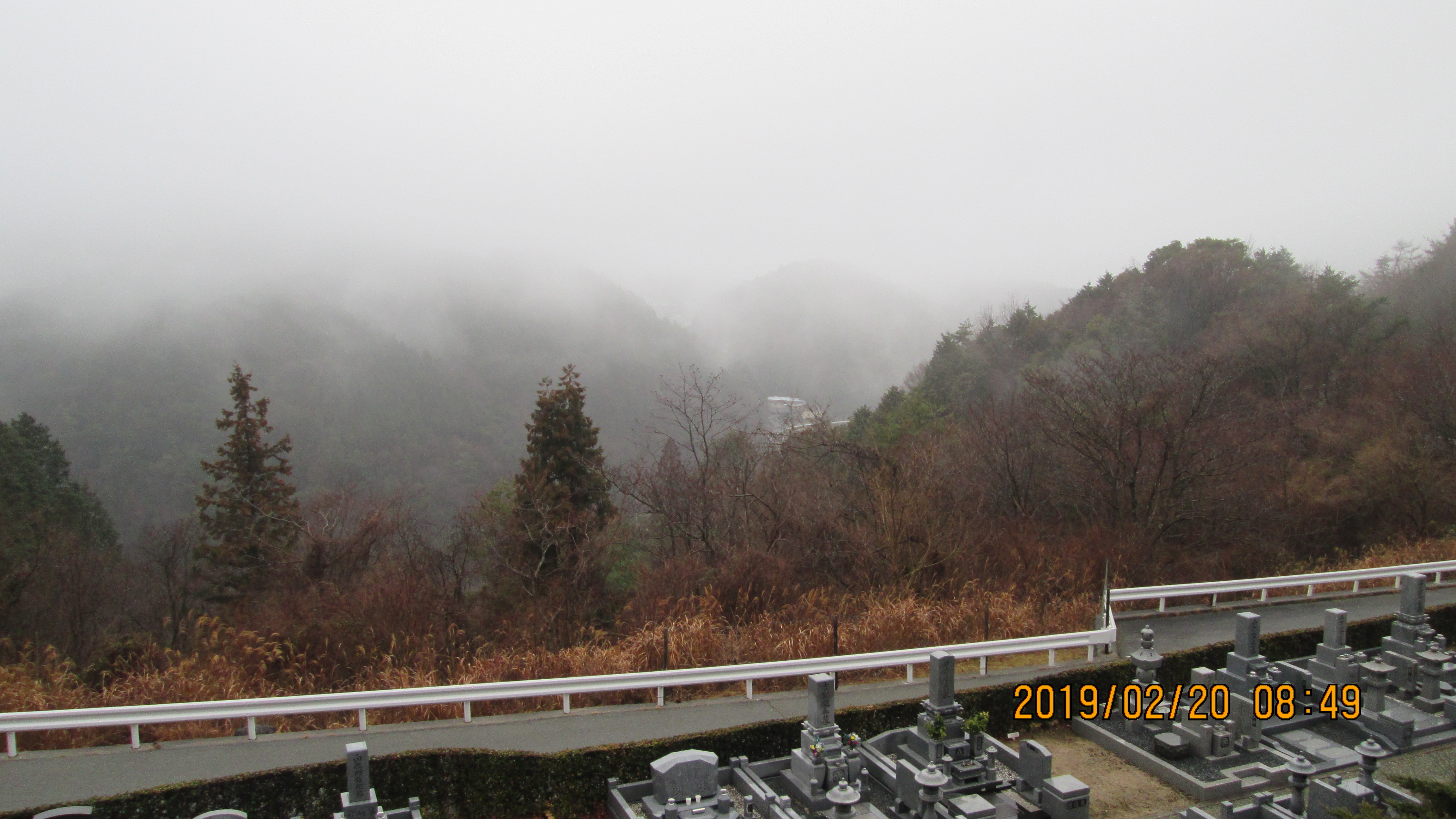 1時間後の10区2番墓所風景