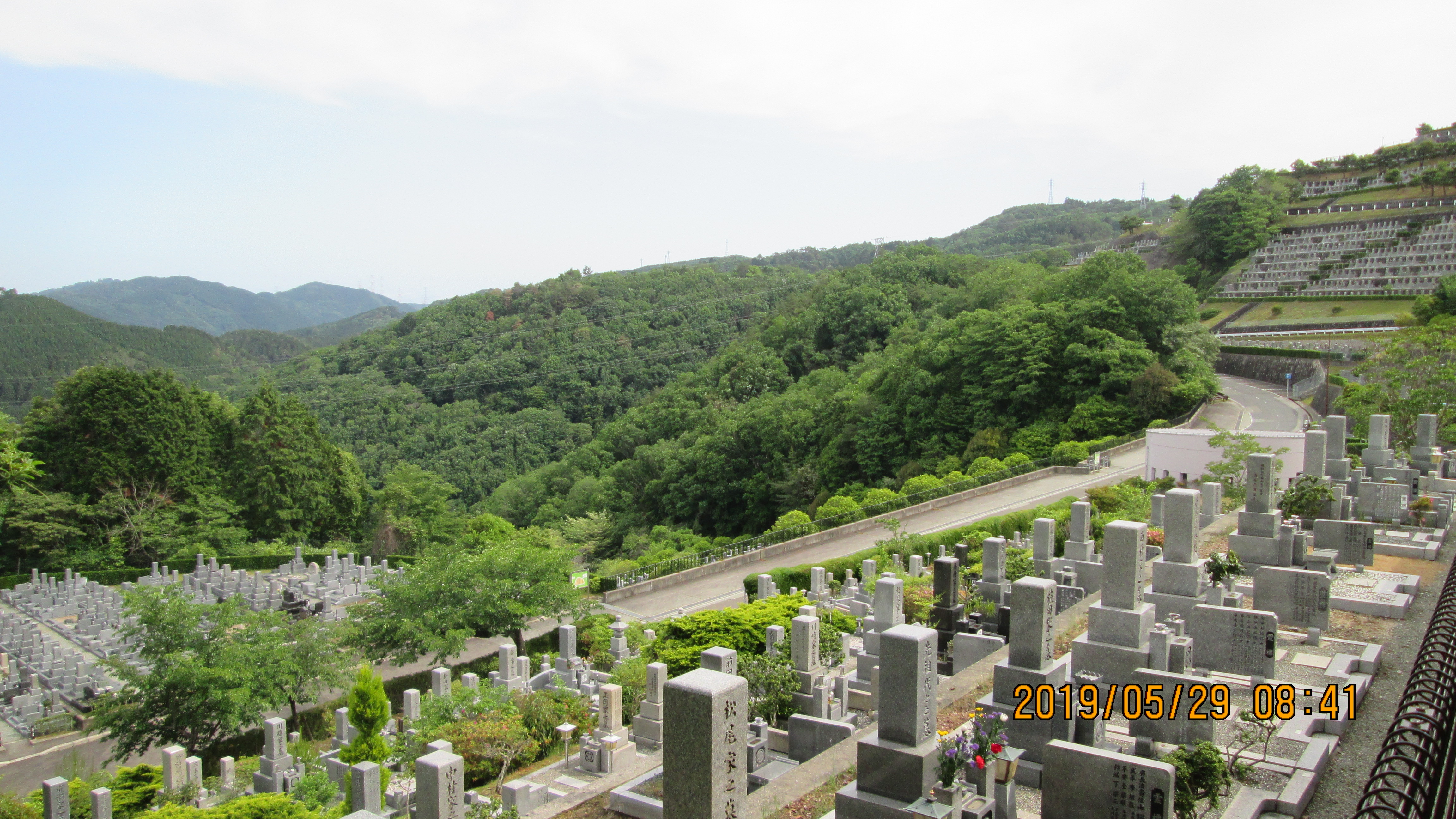 階段墓域・7区2/3番枝道～撮影