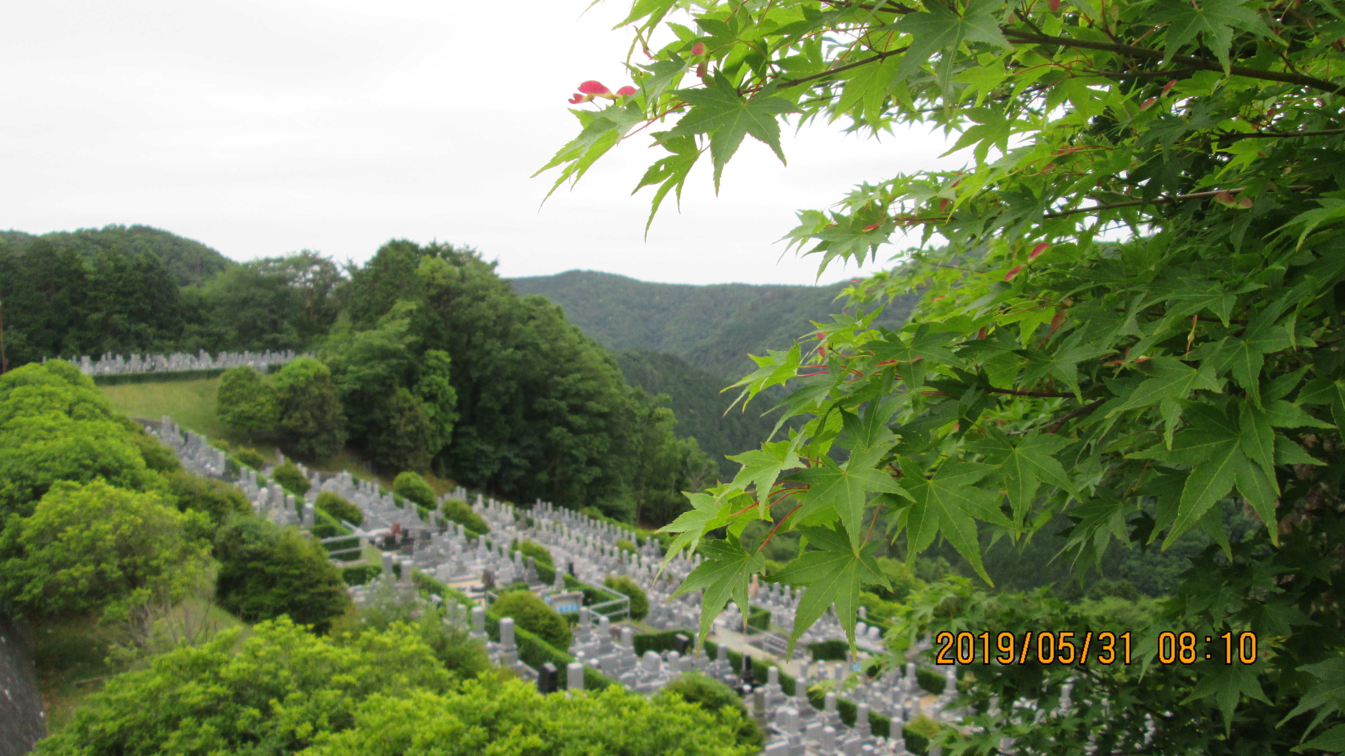 バス通り・5区3/4番墓所風景