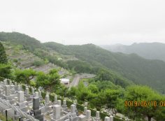 階段墓域・8区4/5番枝道～撮影