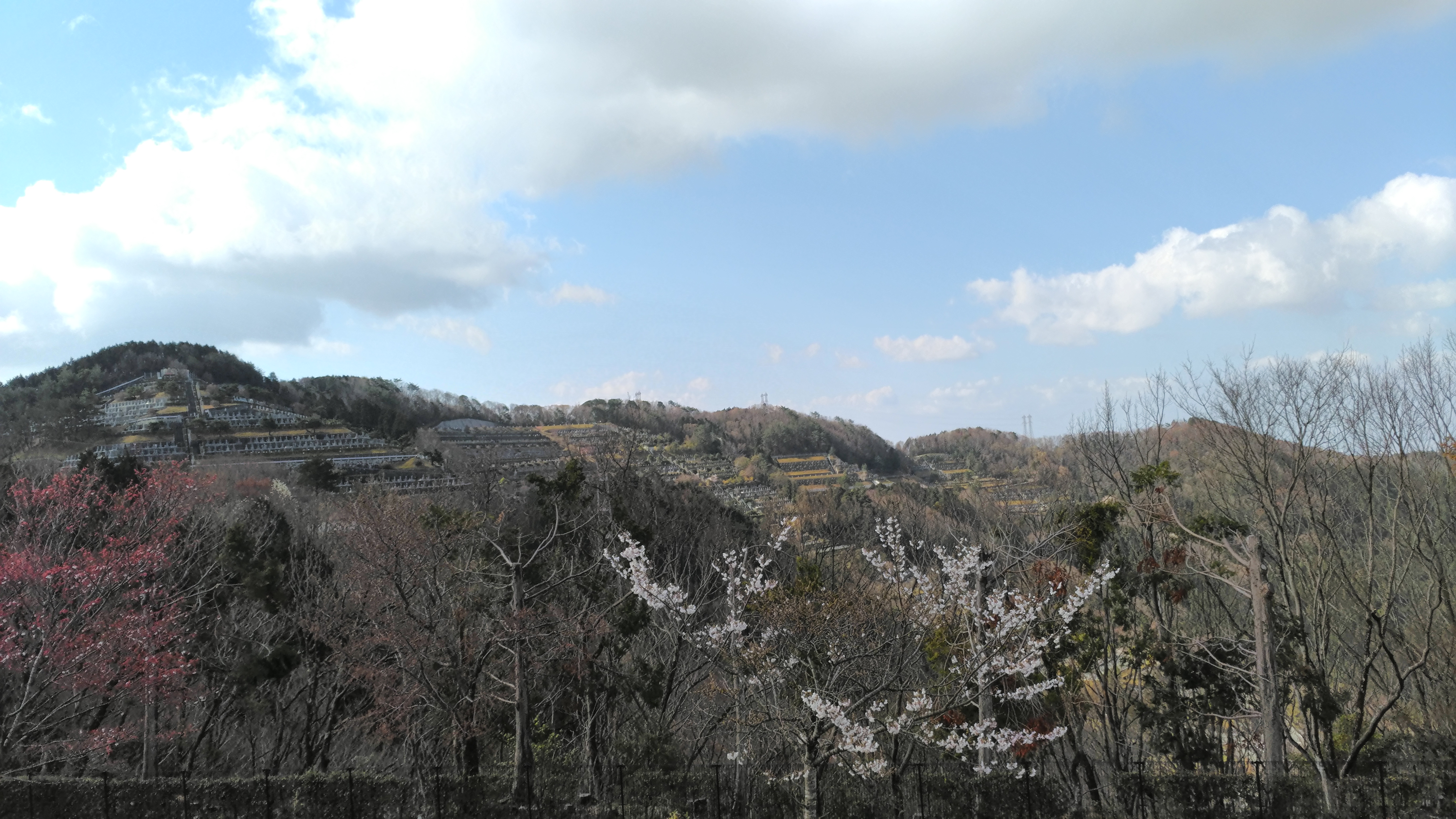 一般墓域・3区6番墓所～風景