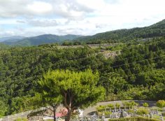 階段墓域・8区4番枝道駐車場～