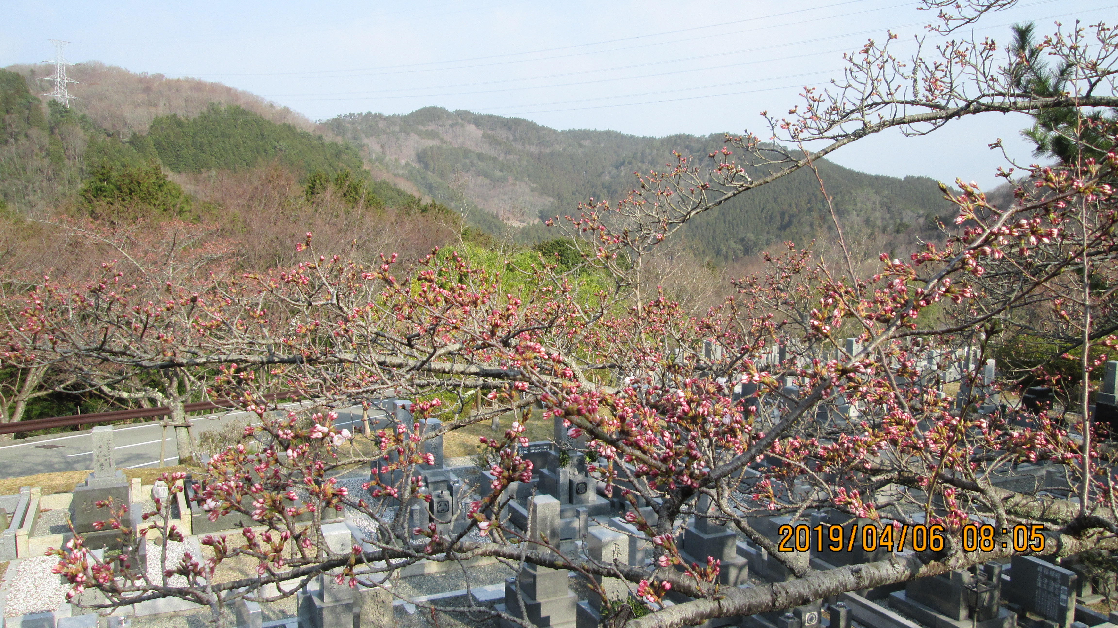 階段墓域・5区1番墓所「桜」情報