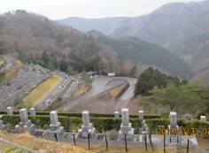 階段墓域：3番枝道風景