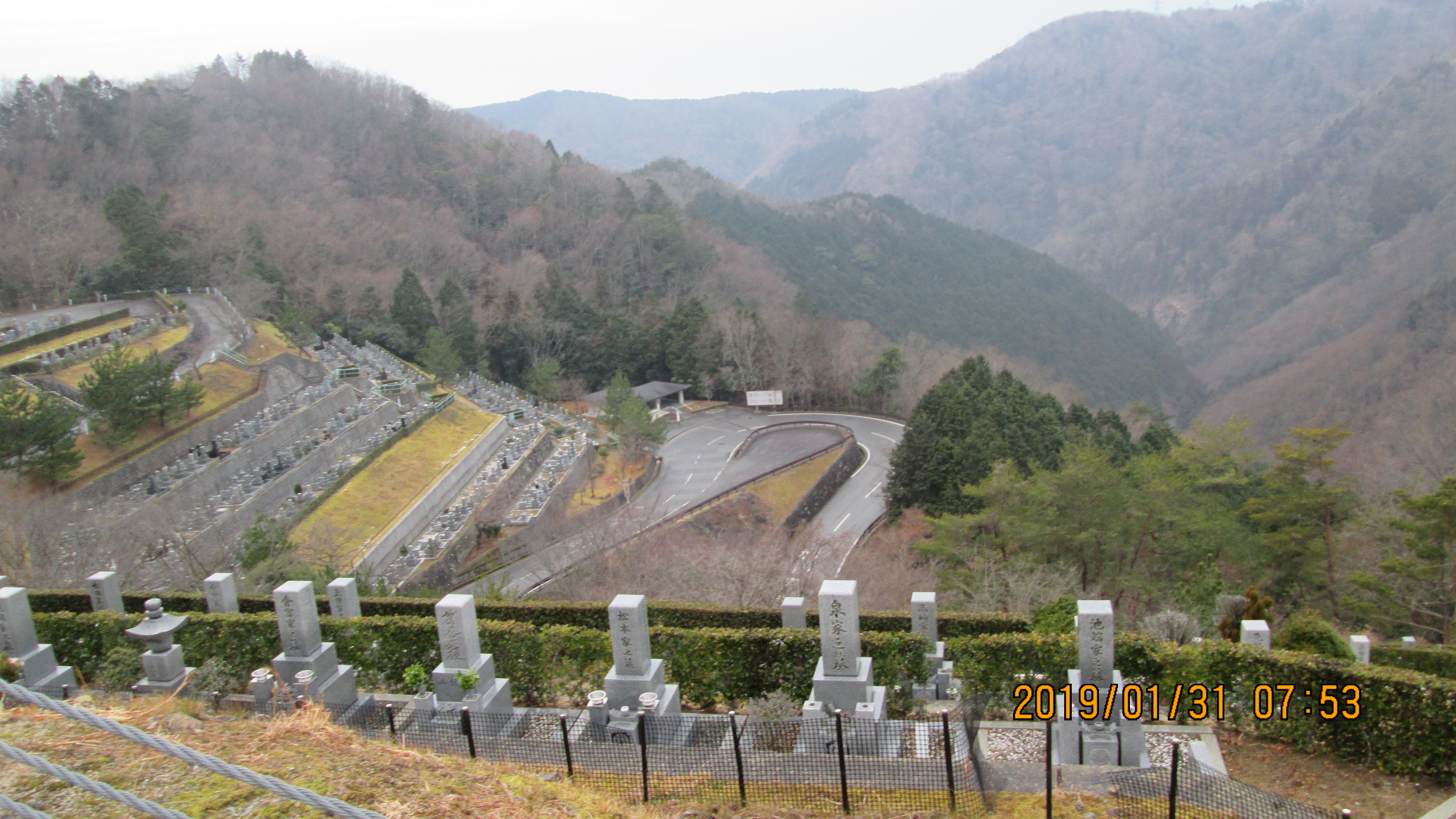 階段墓域：3番枝道風景