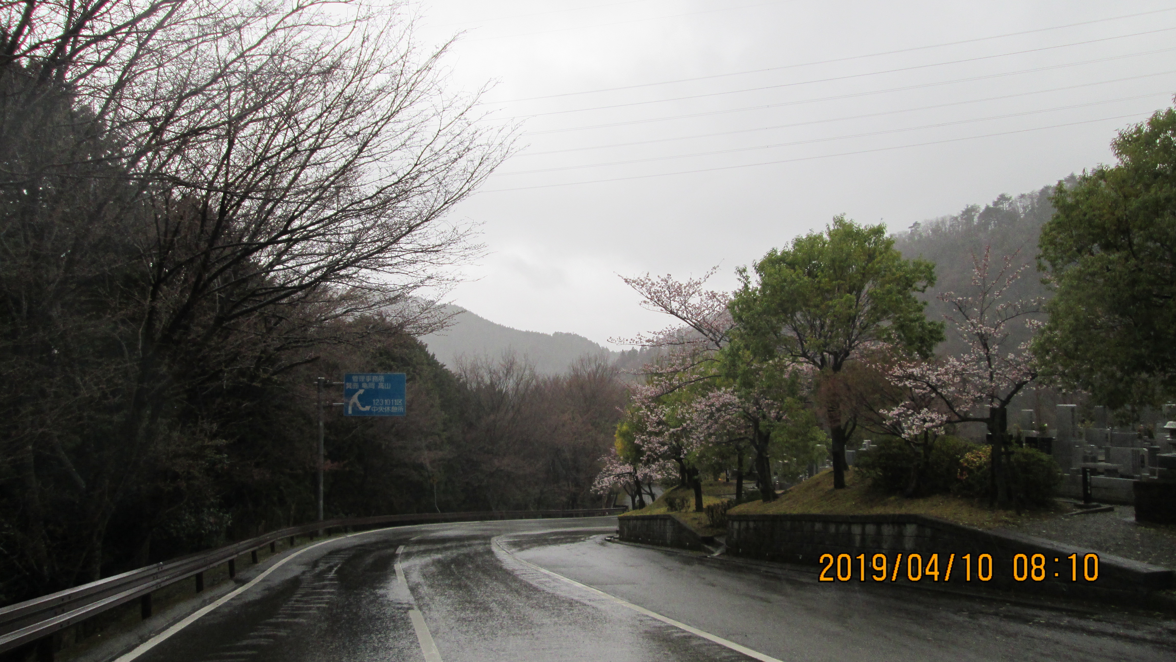 バス通り・5区1番墓所駐車場「桜」