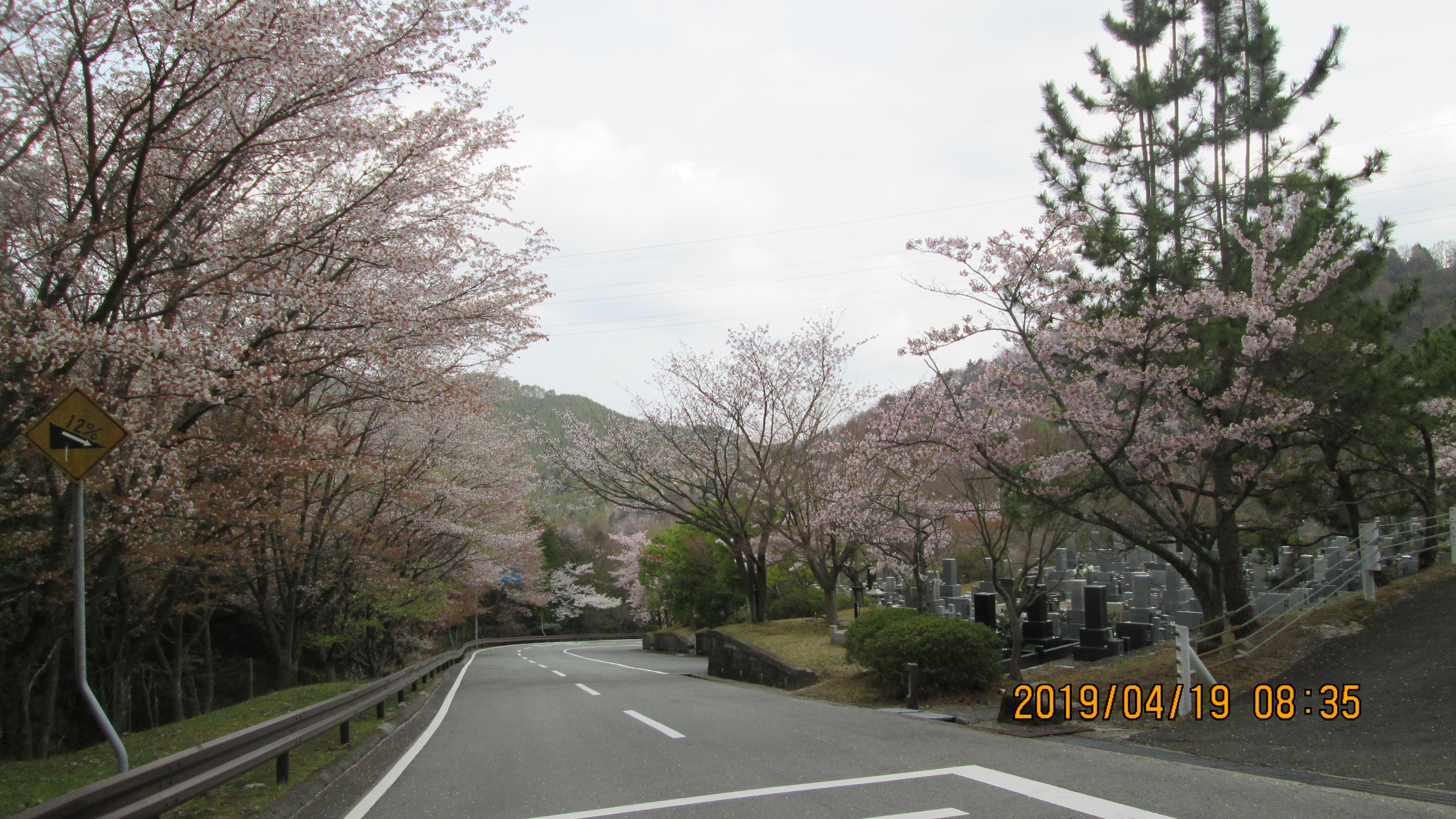 バス通り・5区1番墓所風景