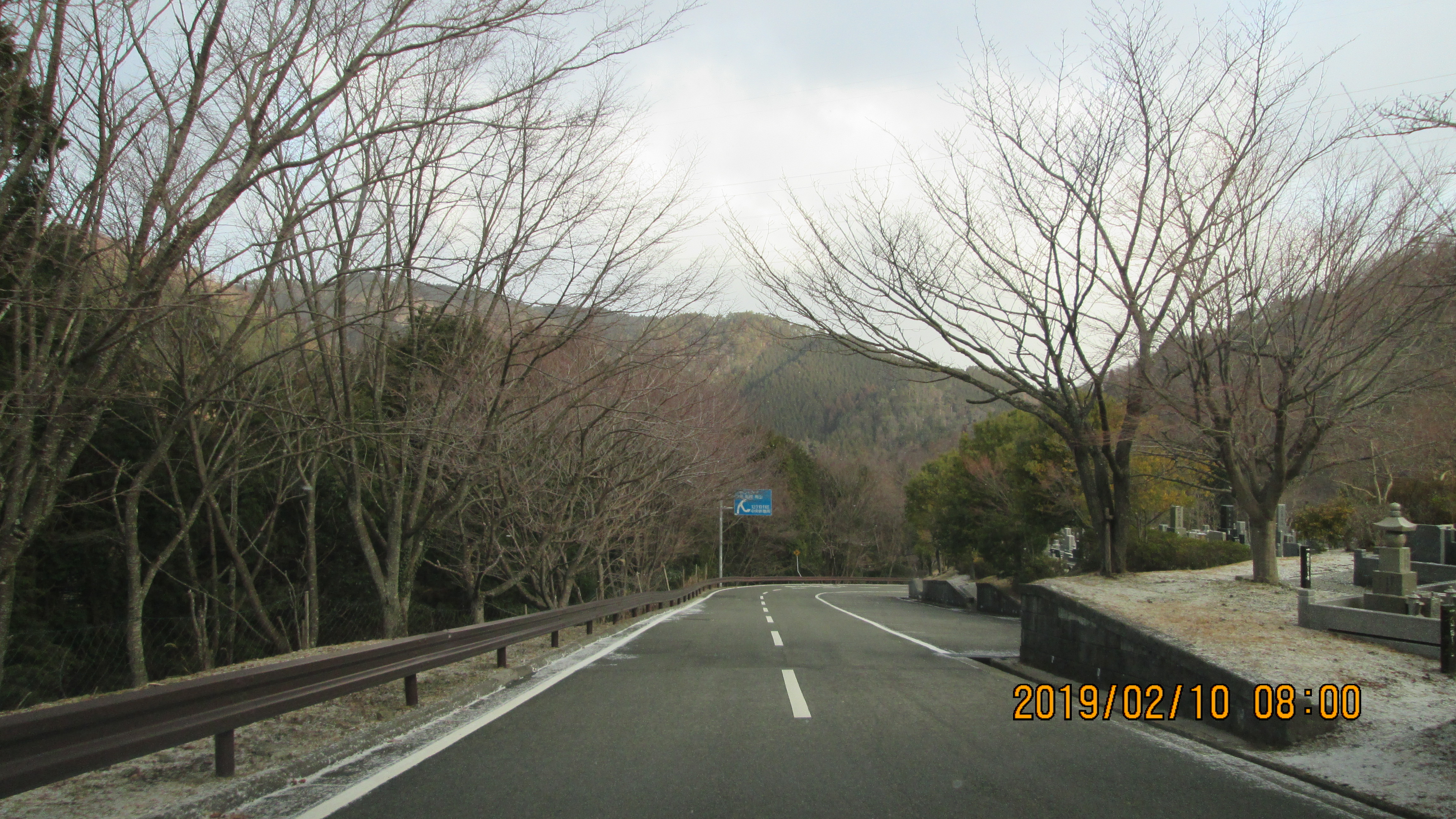 バス通り：5区1番墓域風景