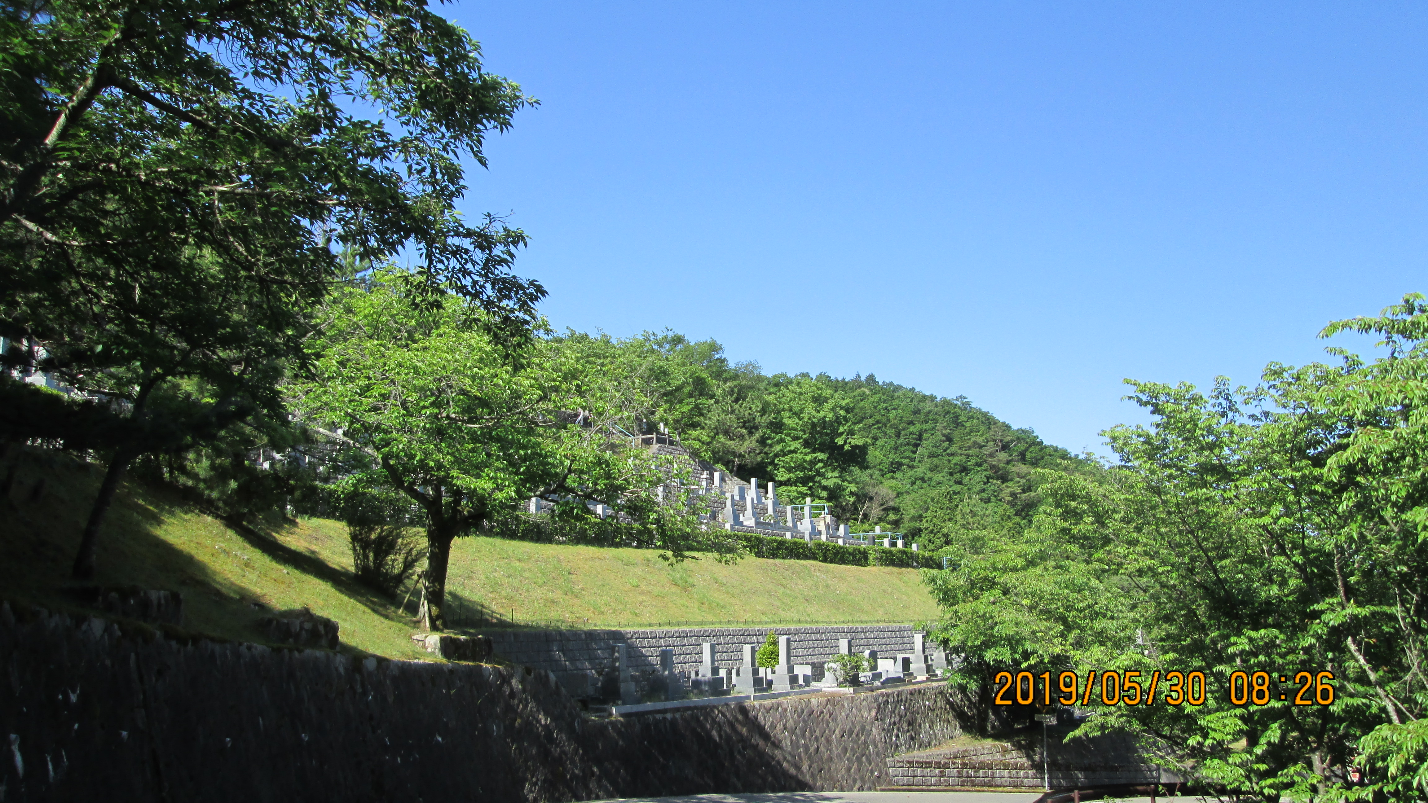 バス通り・6区1/2番墓域～風景