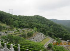 階段墓域・3番枝道～撮影