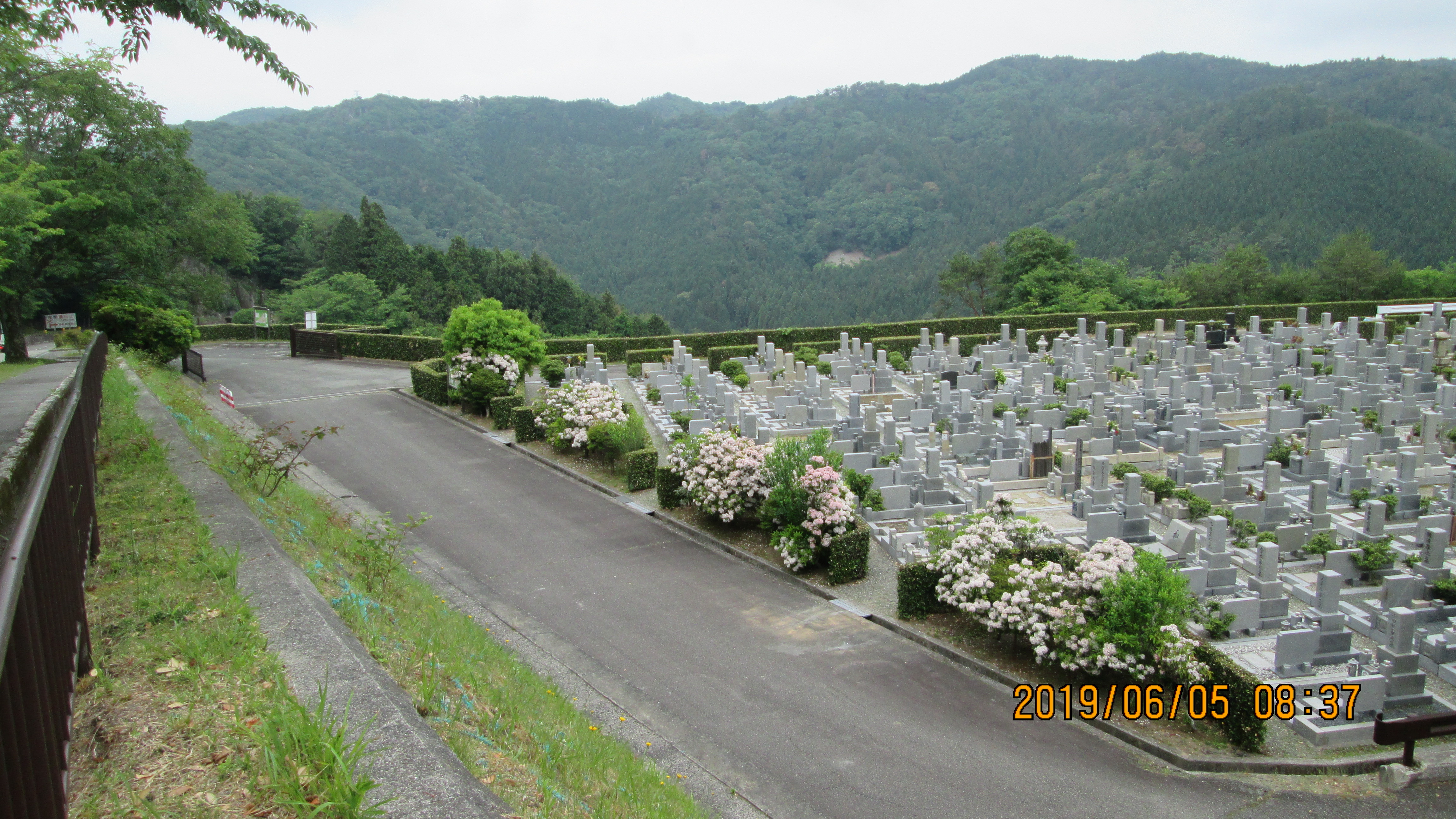 一般墓域・10区5番墓所枝道～撮影