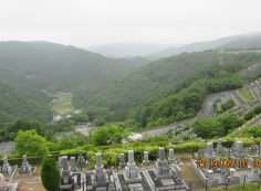 階段墓域・7区3番駐車場～撮影
