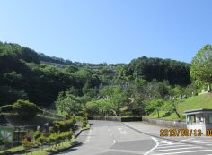 バス通り・5区5番バス停～撮影