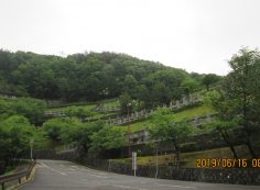 バス通り・6区バス停前～撮影