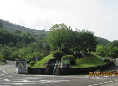  バス通り・5区墓域バス停風景