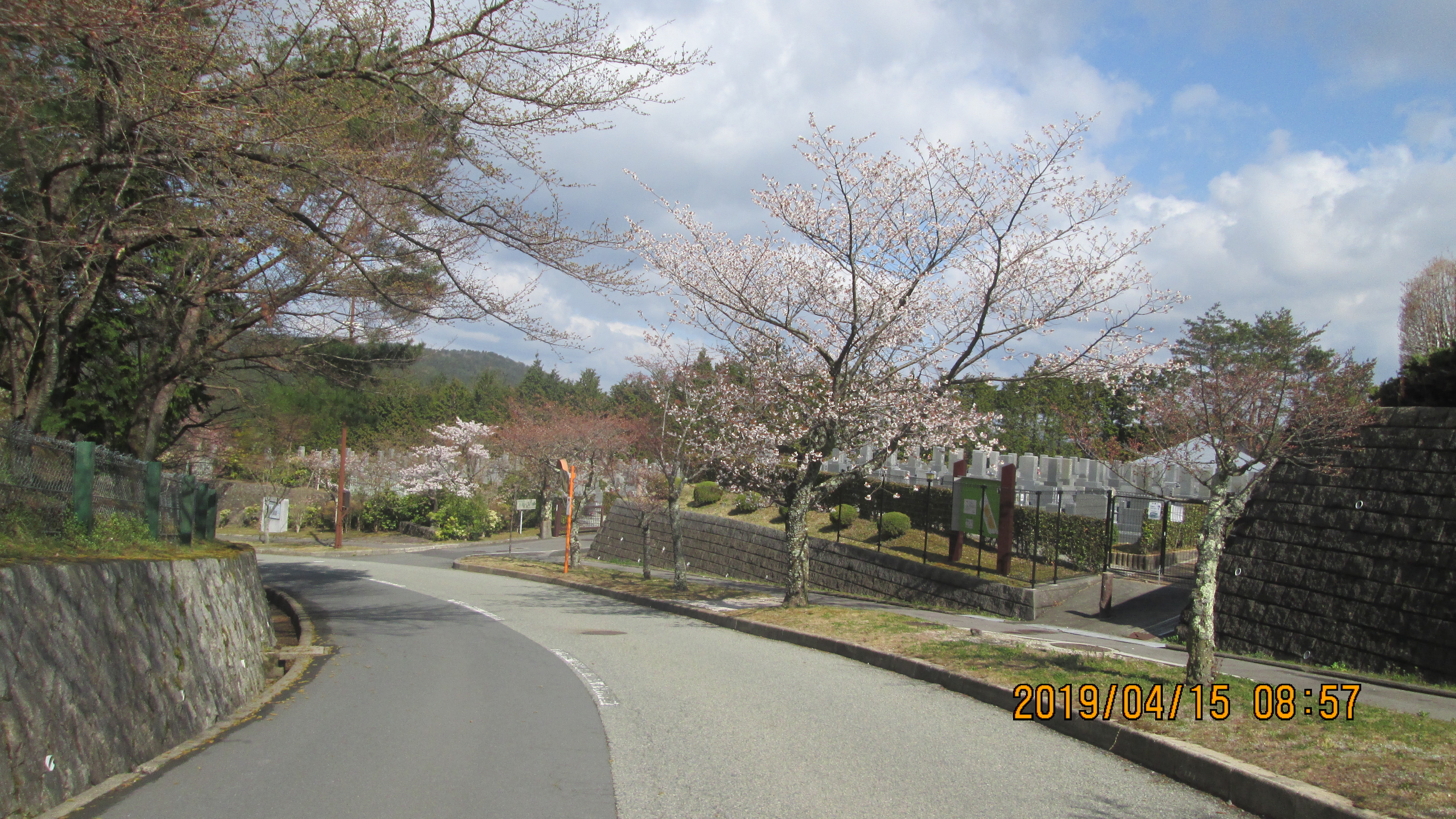 バス通り・11区墓所前歩道風景