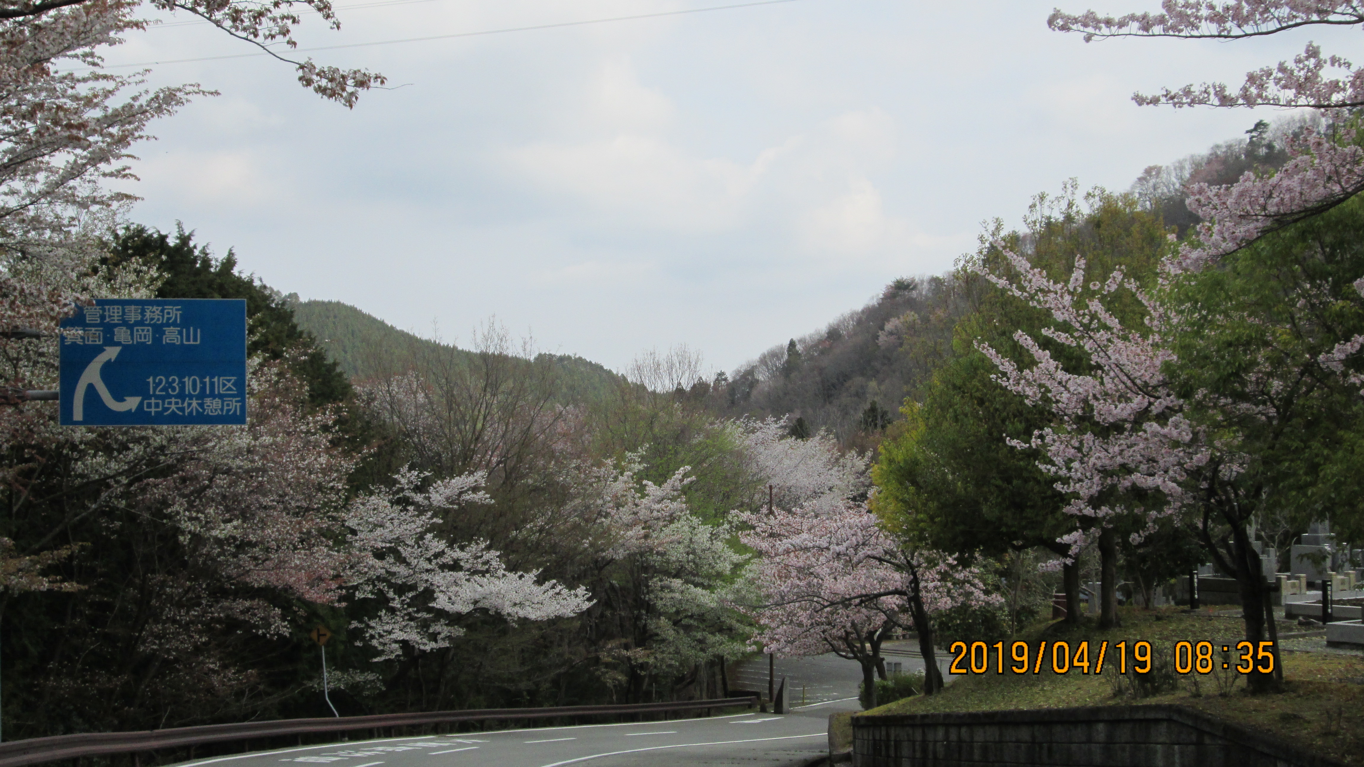 バス通り・5区1番墓所風景