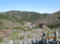 階段墓域・5区墓所風景