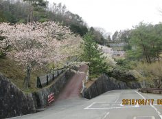 バス通り・6区4番墓所駐車場～