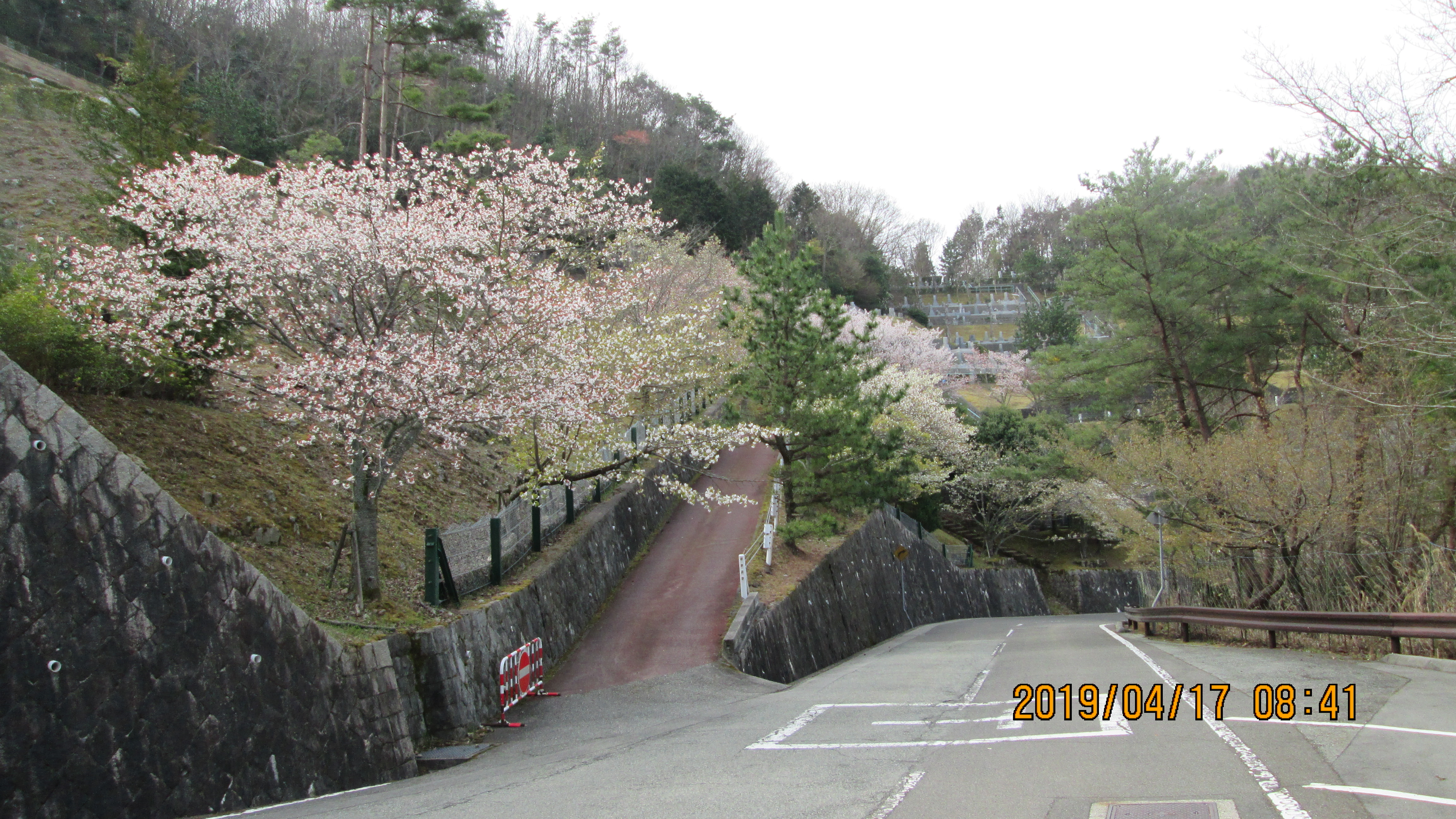 バス通り・6区4番墓所駐車場～