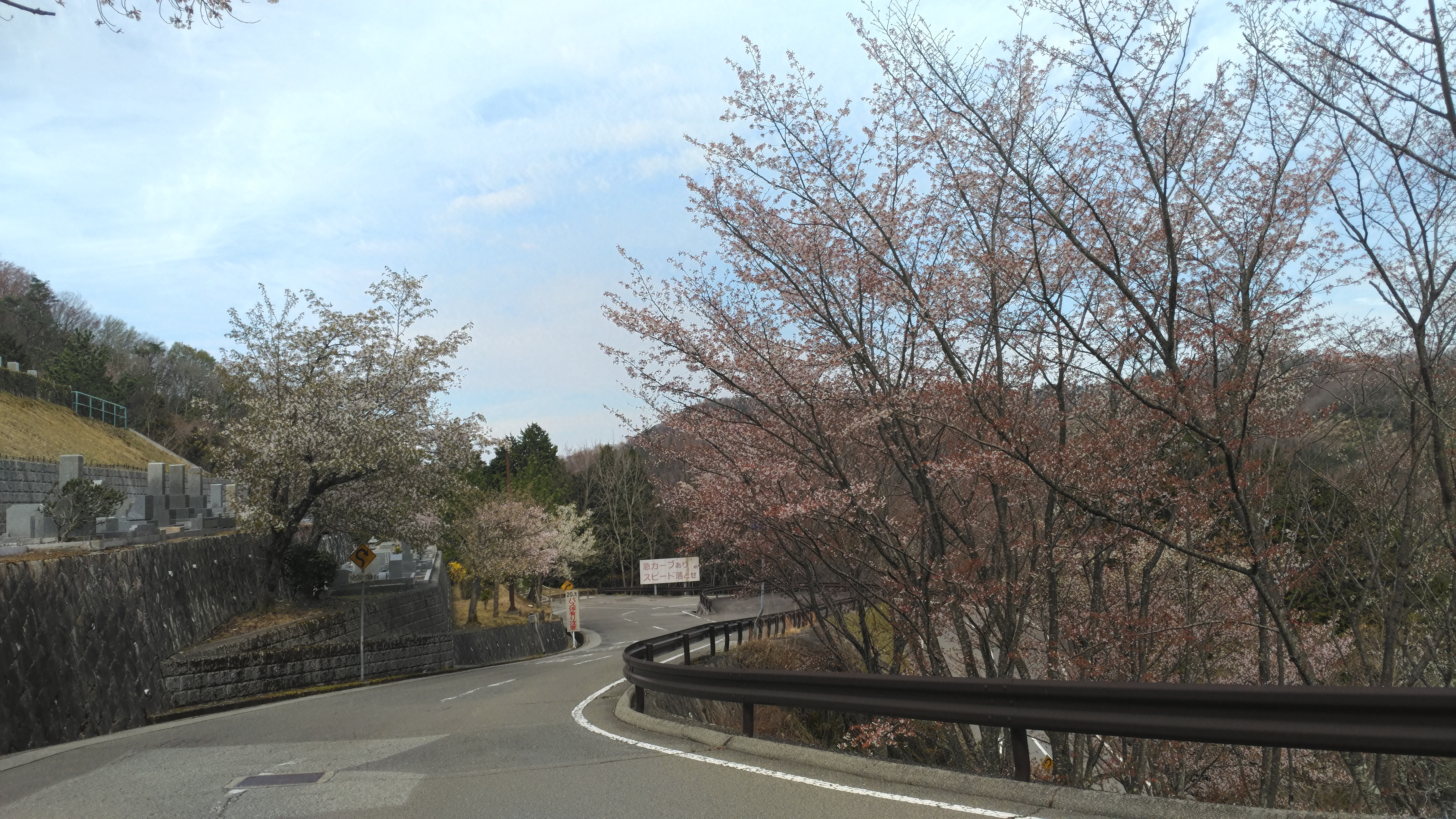 バス通り・6区バス停手前風景