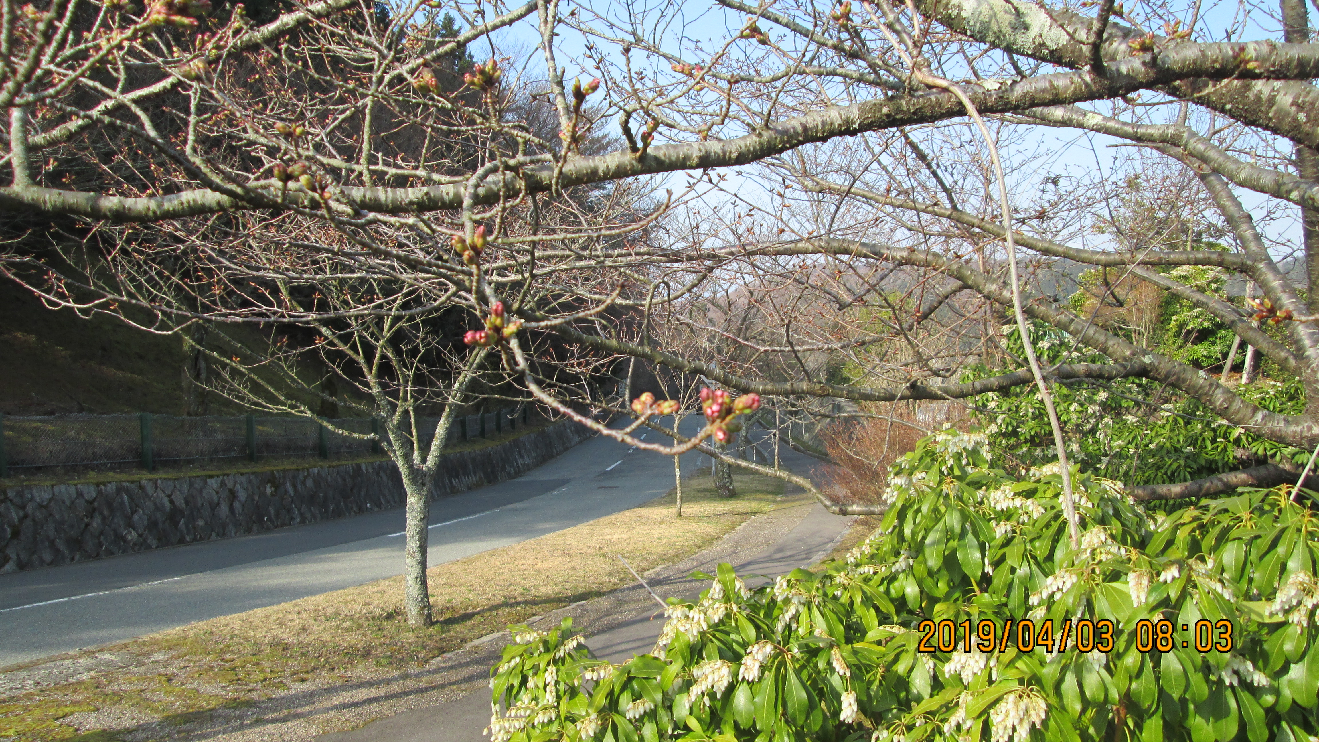 四季開花情報・10区8番墓風景