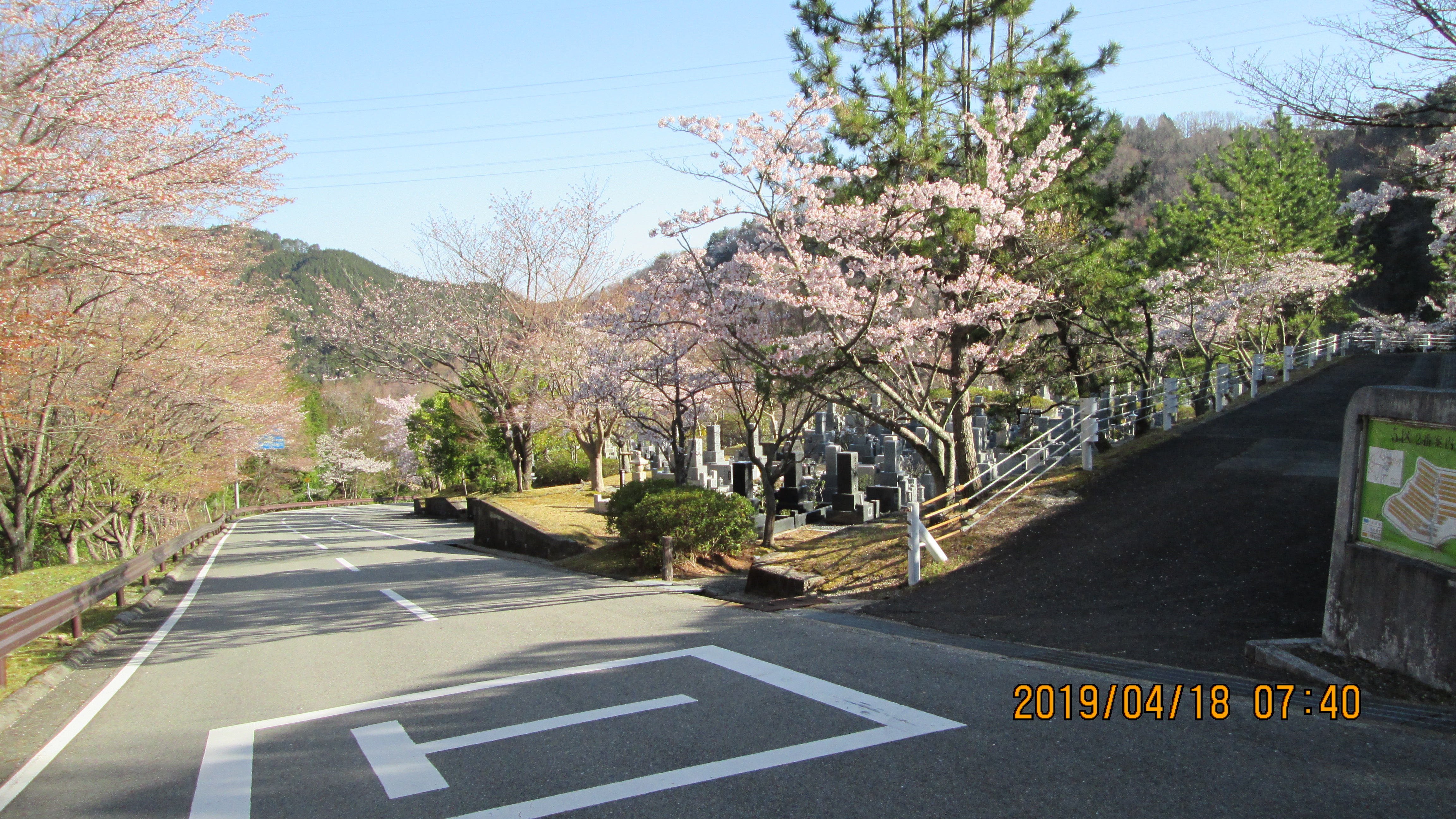 バス通り・5区1番墓域「桜」風景
